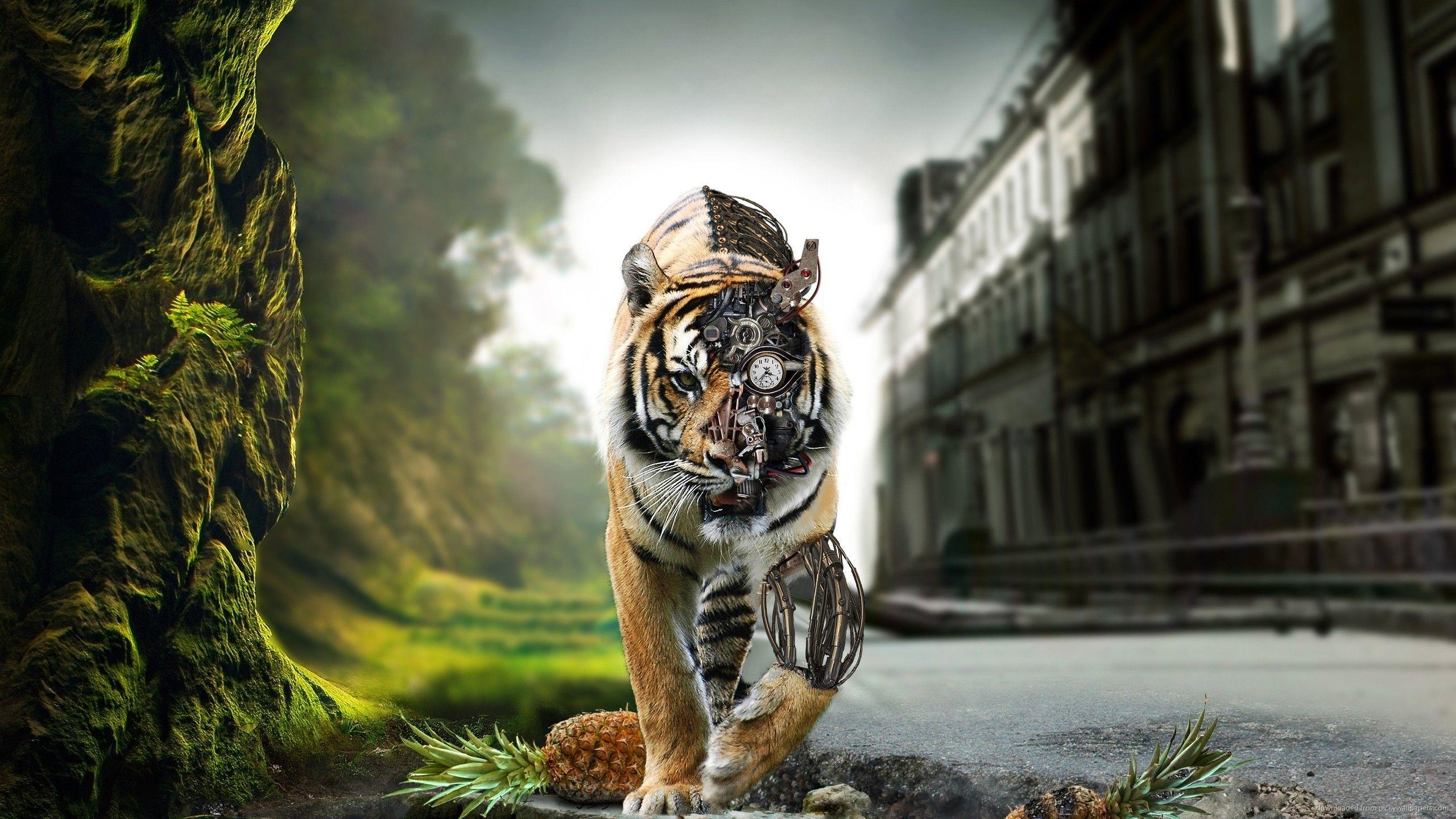 2560x1440 Free 27 Mechanical Laptop Collection of Picture