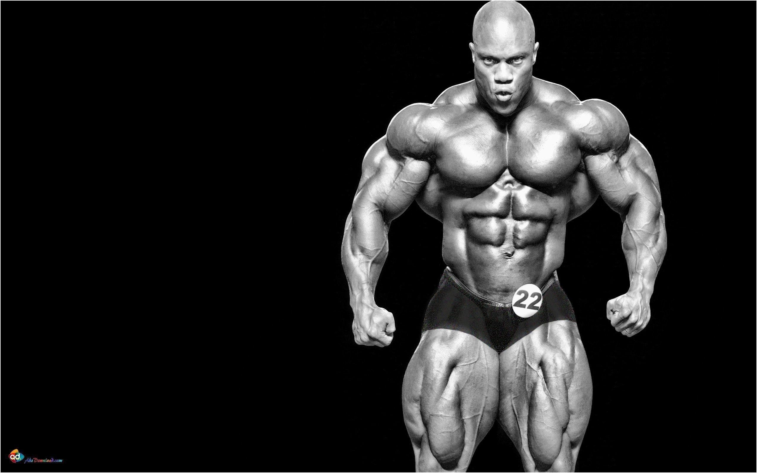 2560x1600 Bodybuilding Wallpaper