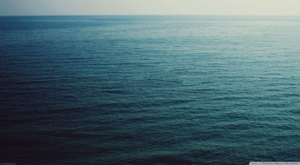 1216x669 How To Clean Wallpaper