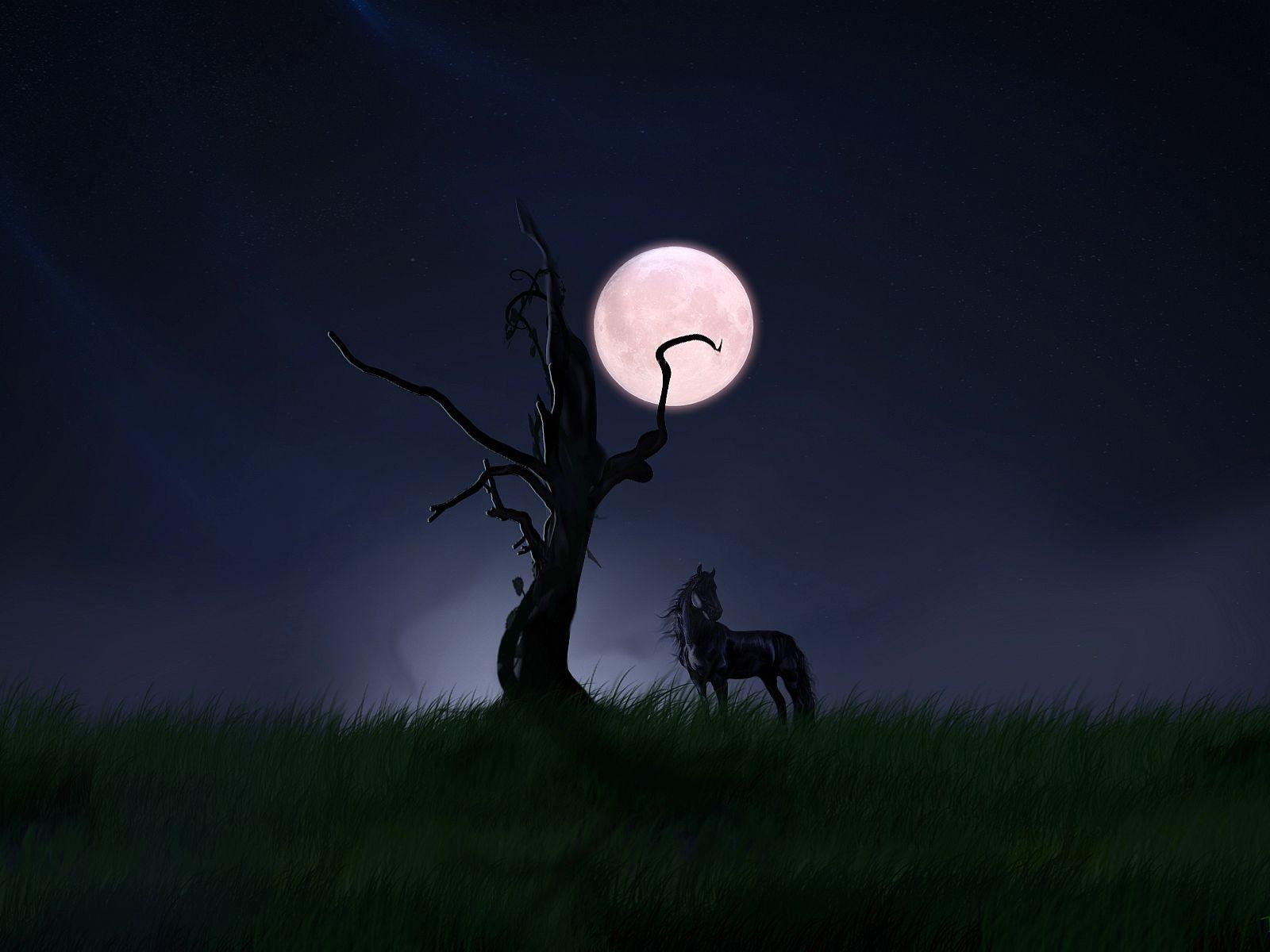 1600x1200 Sky: Horse Night Cool Moon Sky Wallpaper Free for HD 16:9 High