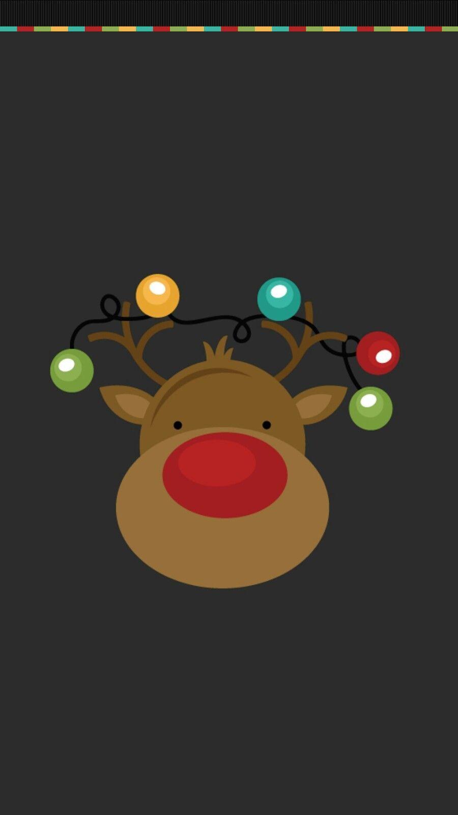 Cute Christmas Reindeer funny reindeer HD phone wallpaper  Pxfuel