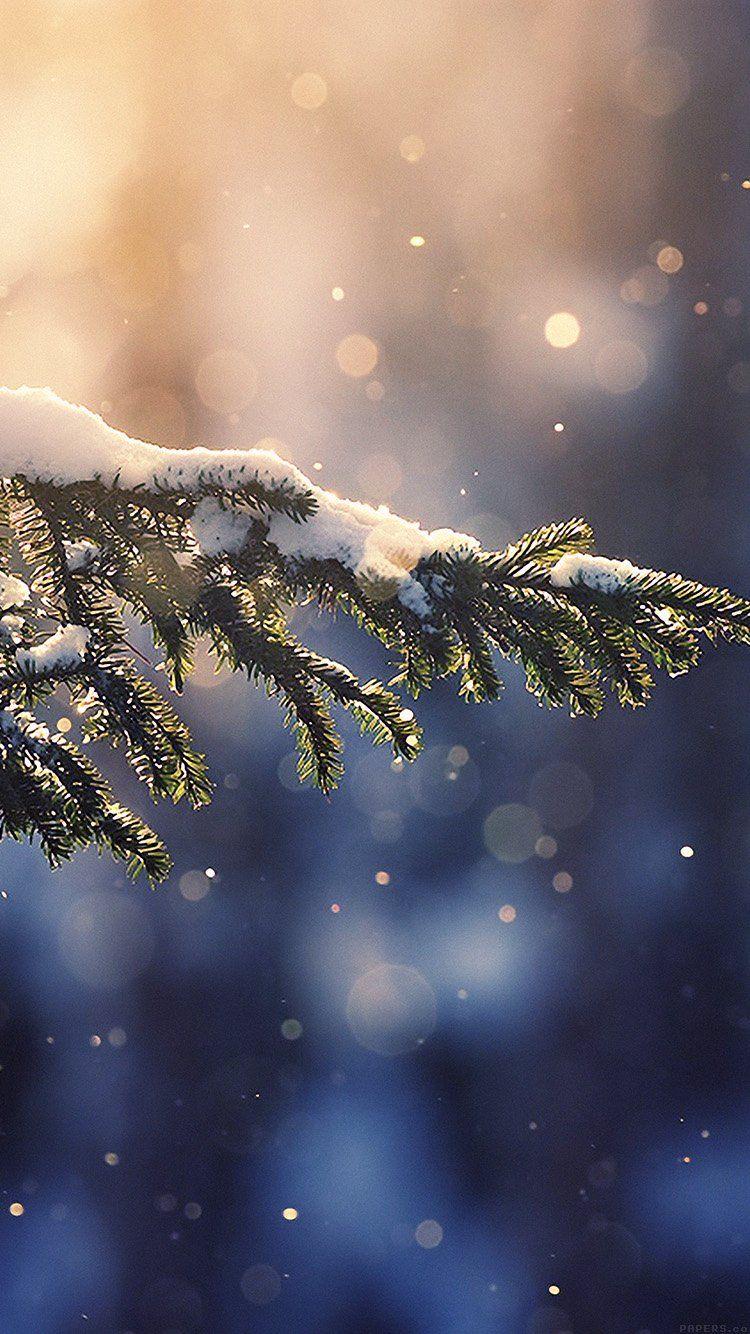 Light Snow is On The Way  Iphone wallpaper winter Christmas wallpaper  backgrounds Winter wallpaper
