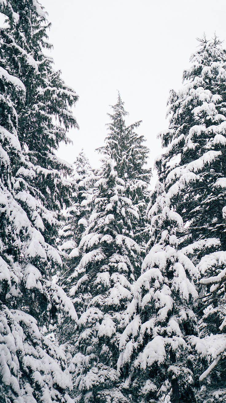 736x1308 Sparkly Christmas iPhone Xs Max Wallpaper. Christmas