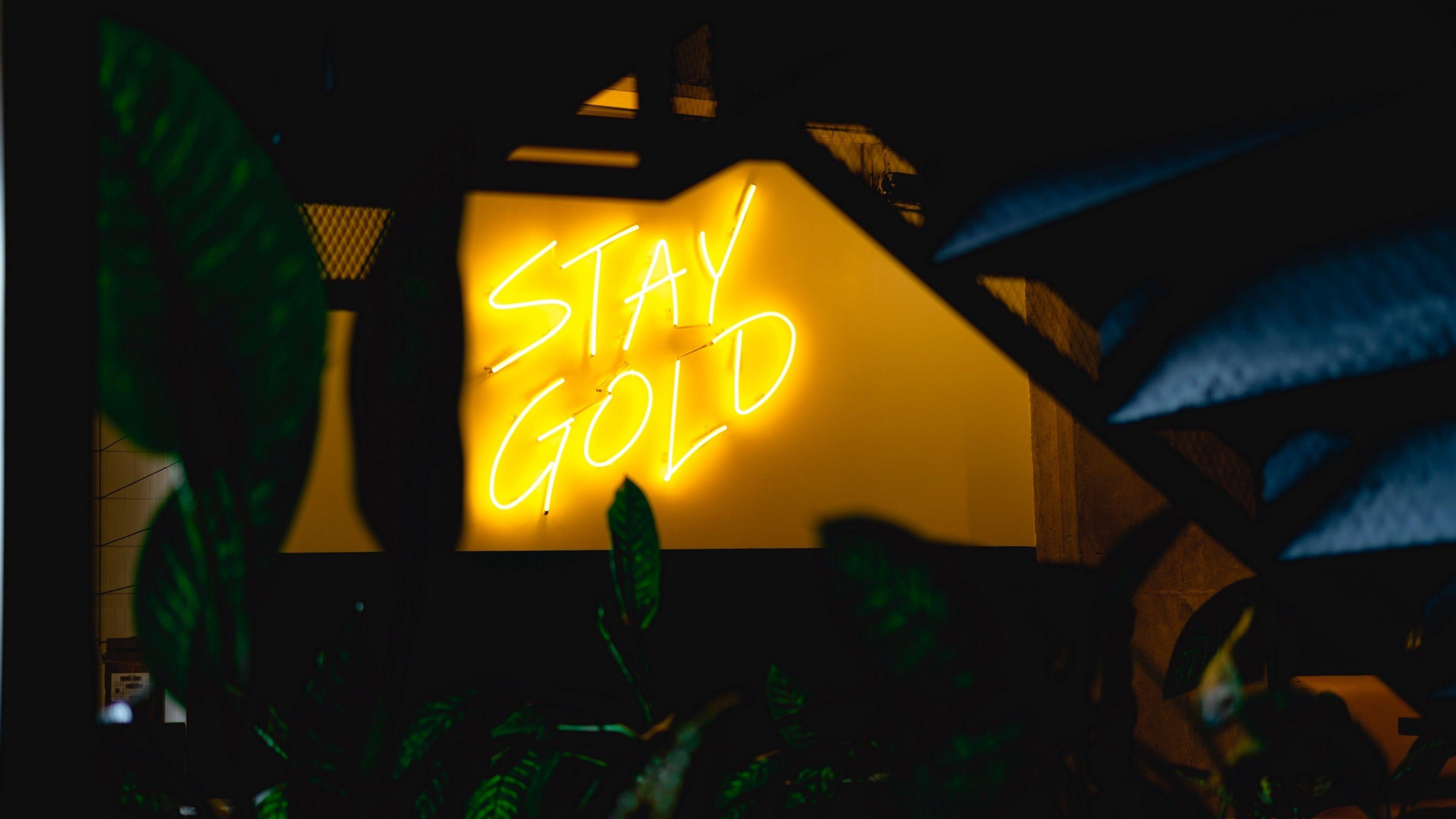 3840x2160 Yellow neon lights HD Wallpaper 4K Ultra HD