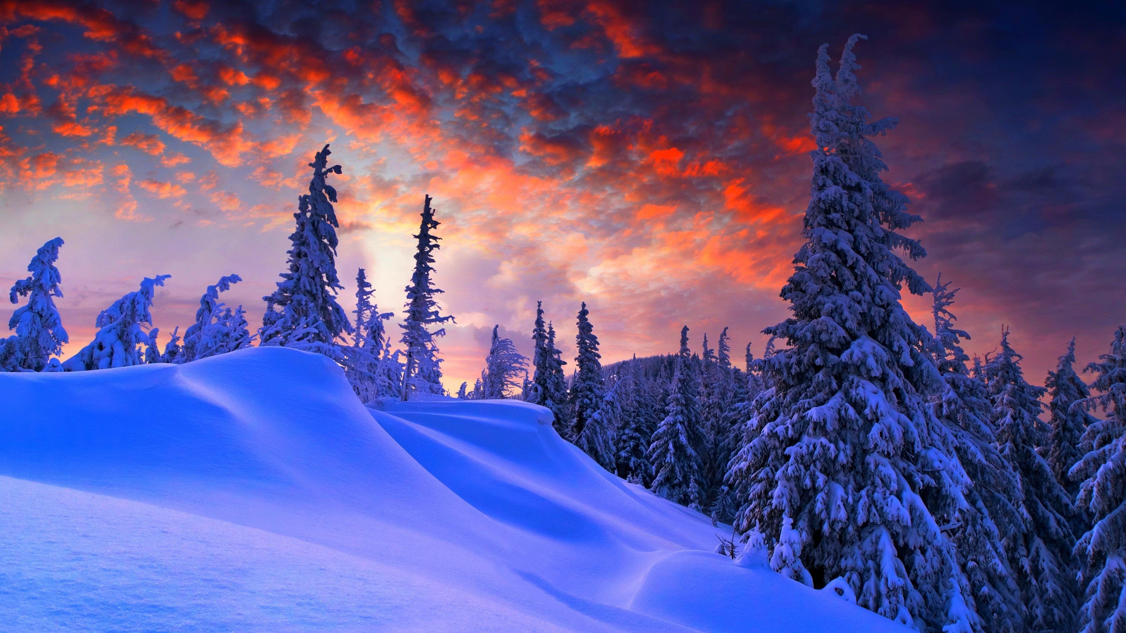 3840x2160 Winter Christmas 4K wallpaper