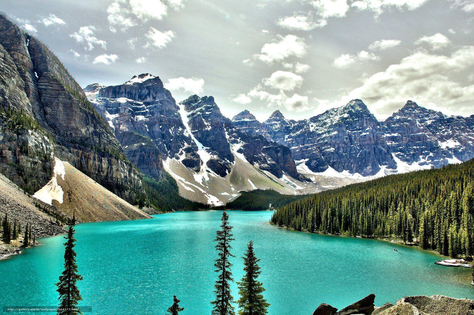 BANFF NATIONAL PARK, CANADA, mountains, flowers, Banff, national, park, HD  wallpaper | Peakpx