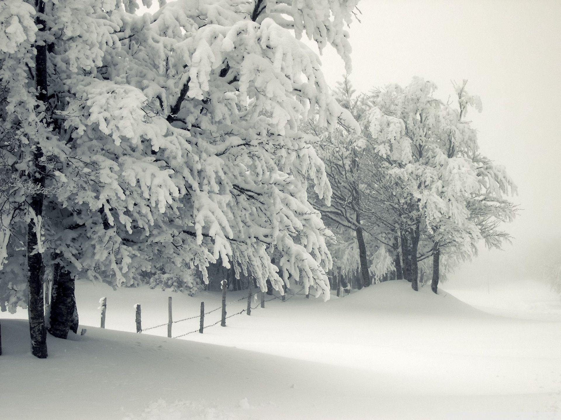 1920x1440 Snowy Landscape ❤ 4K HD Desktop Wallpaper for 4K Ultra HD