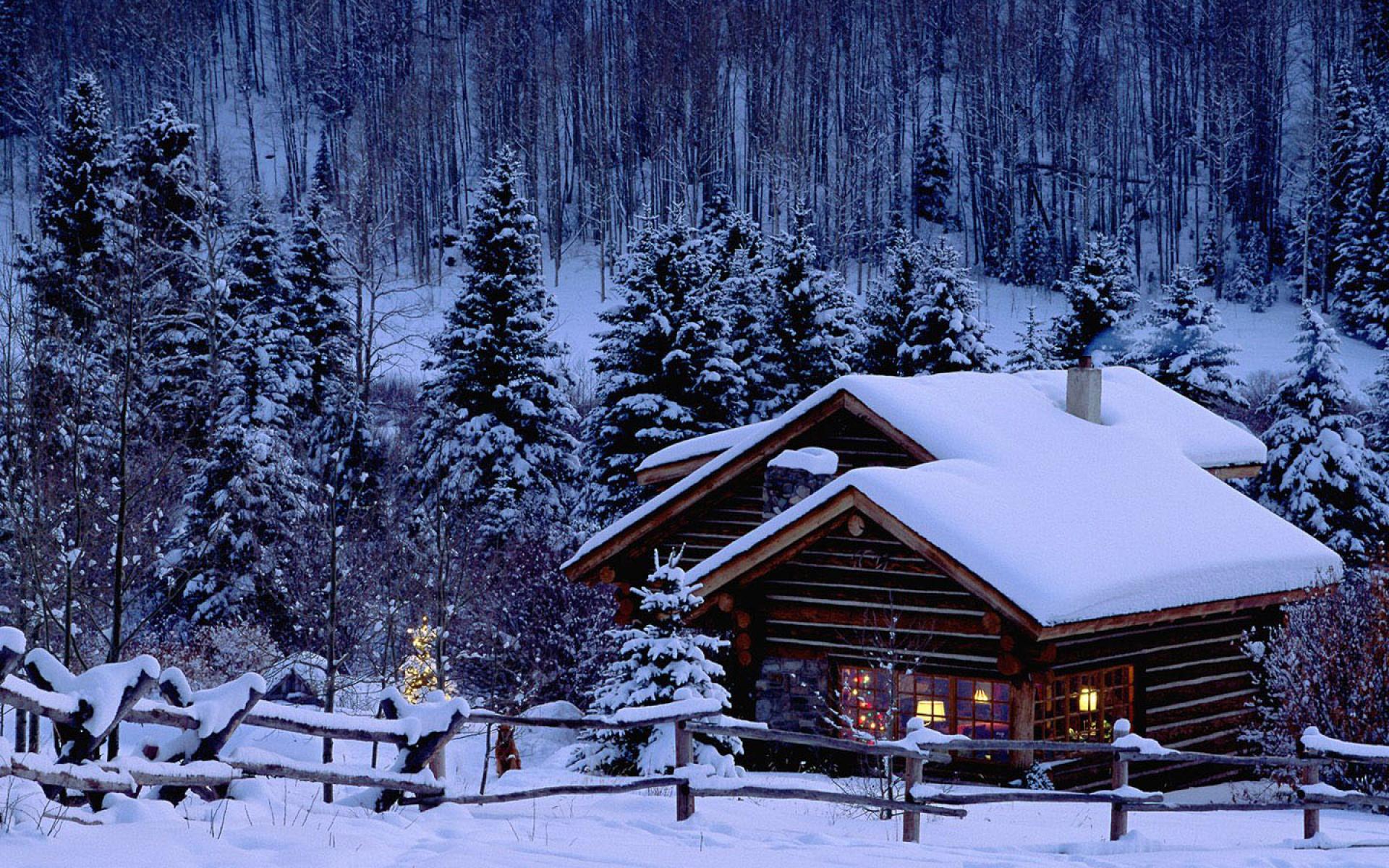 1920x1200 Christmas Snow Scene Wallpaper