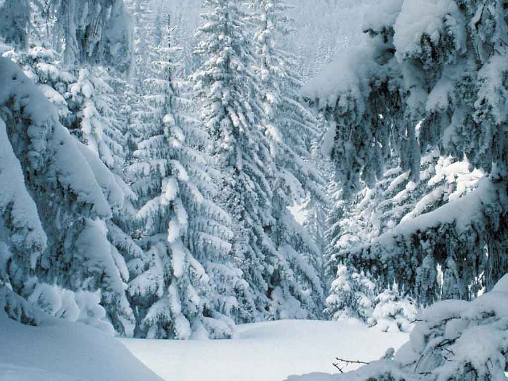 1024x768 Free Winter Scene Wallpaper