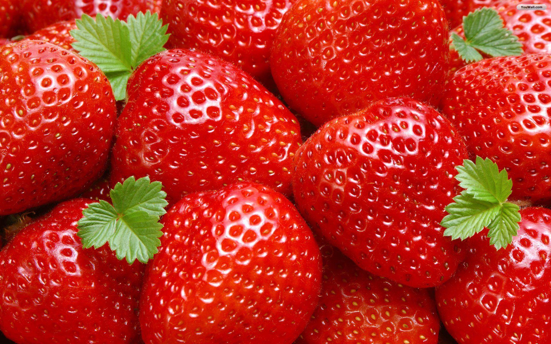 Strawberries Wallpapers - Top Free Strawberries Backgrounds ...