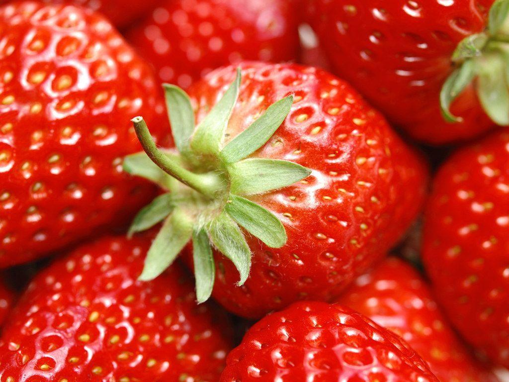 1024x768 Best Strawberries Image & Wallpaper Gautam Mayoh