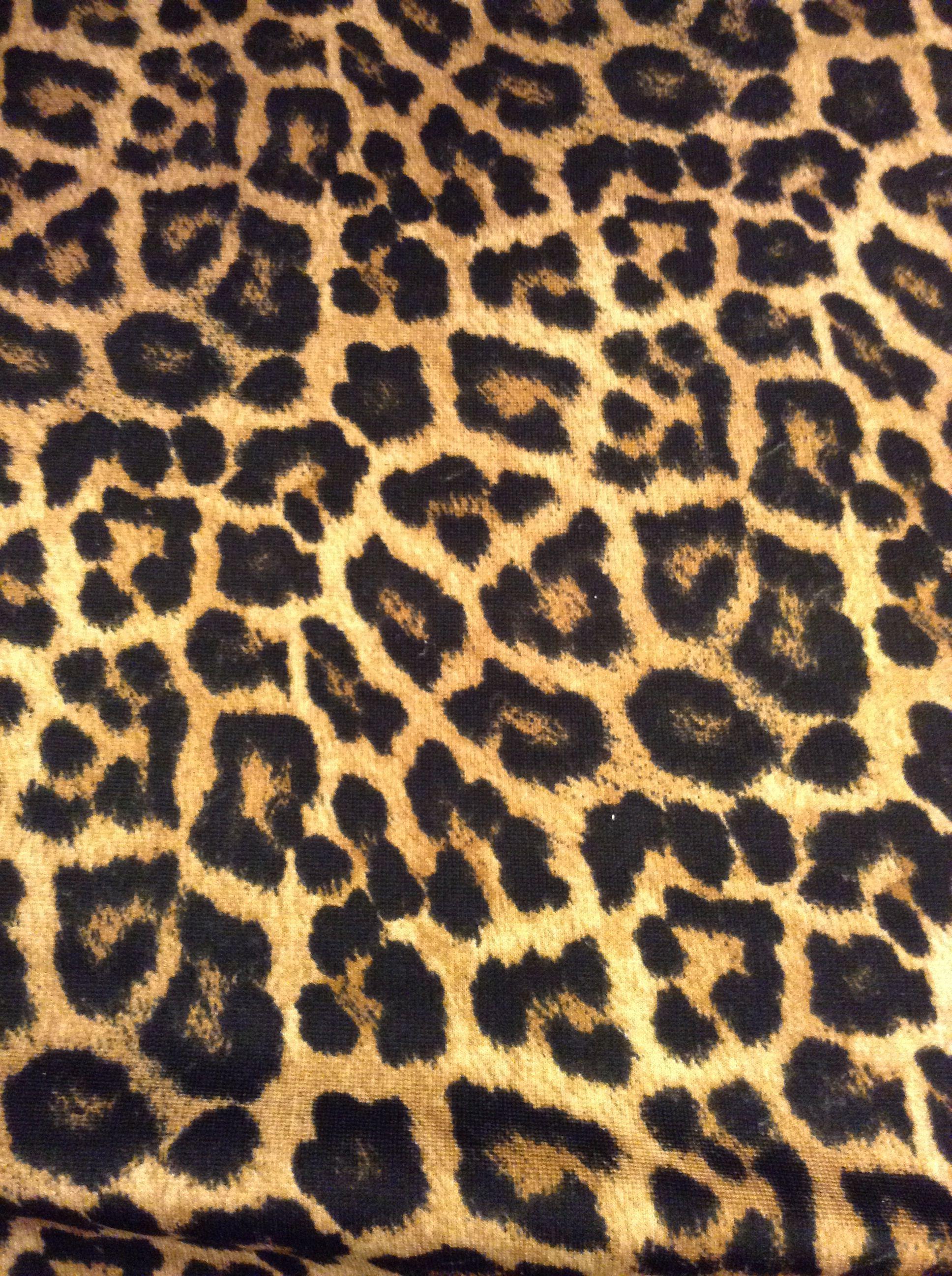 Cute Leopard Print Wallpapers Top Free Cute Leopard Print Backgrounds Cute Leopard Print Wallpapers Top Free Cute Leopard Print Backgrounds