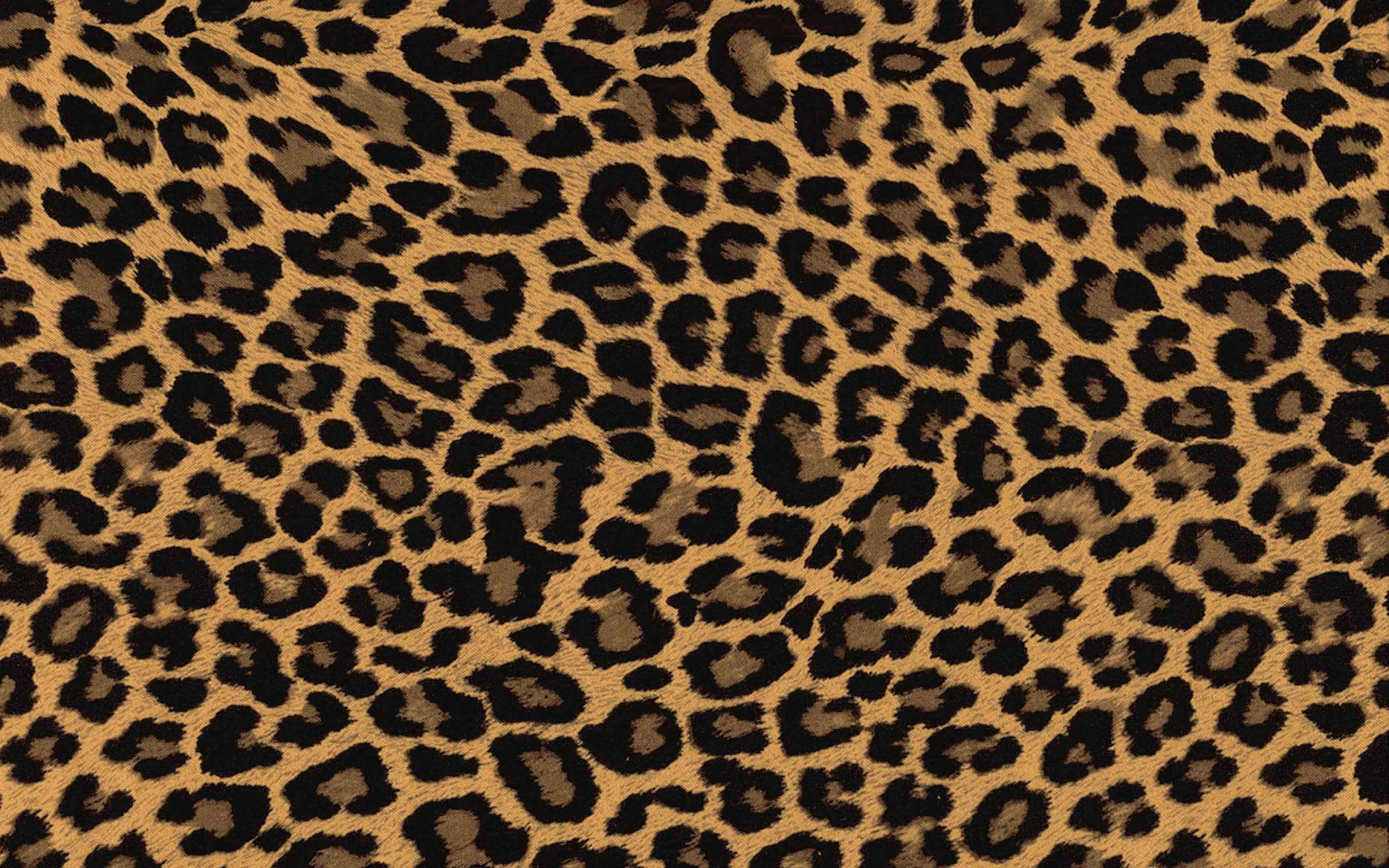Hình nền Leopard Print 2560x1600 Chất lượng cao