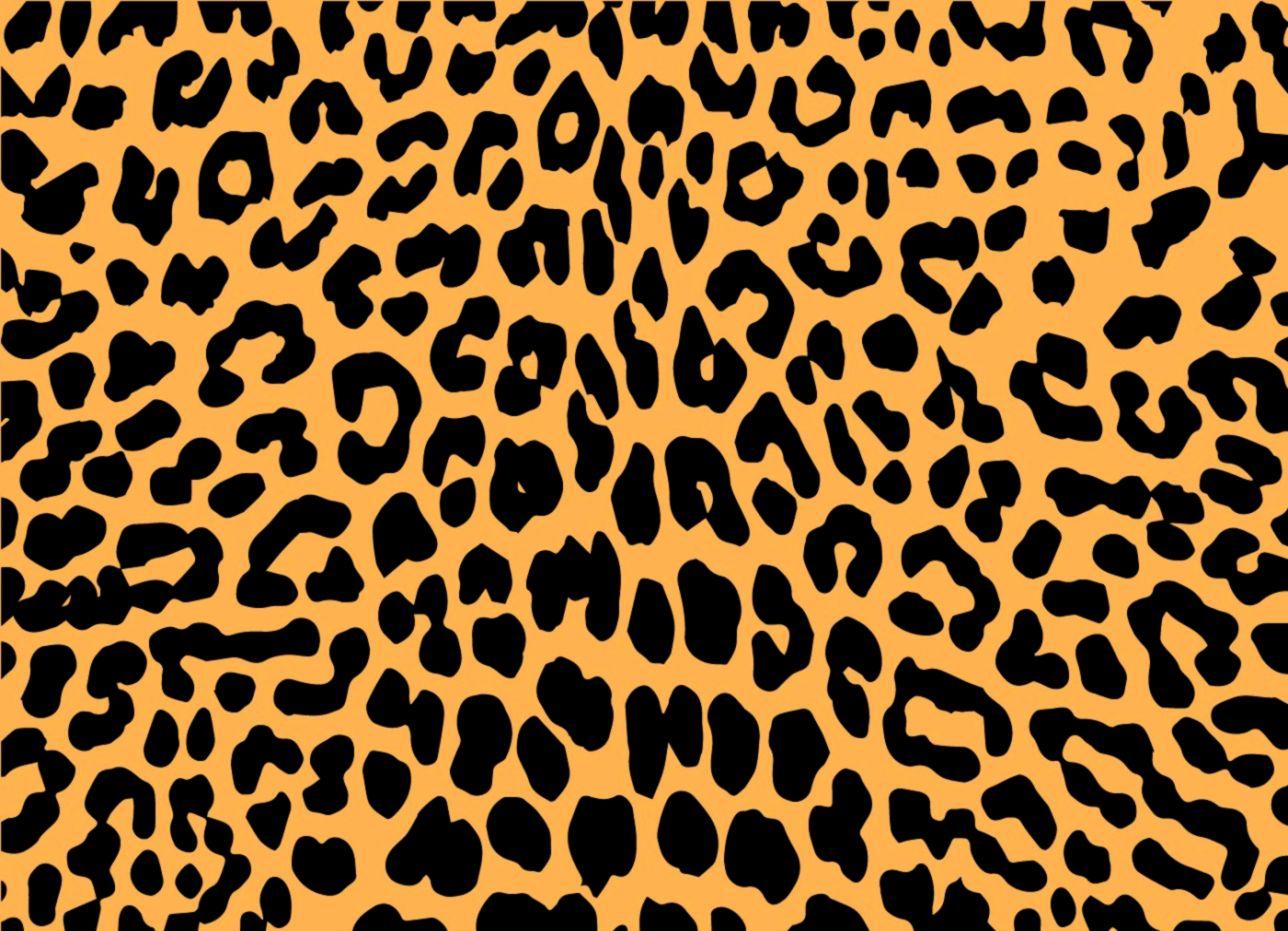 Hình nền 1288x931 Animal Leopard Print