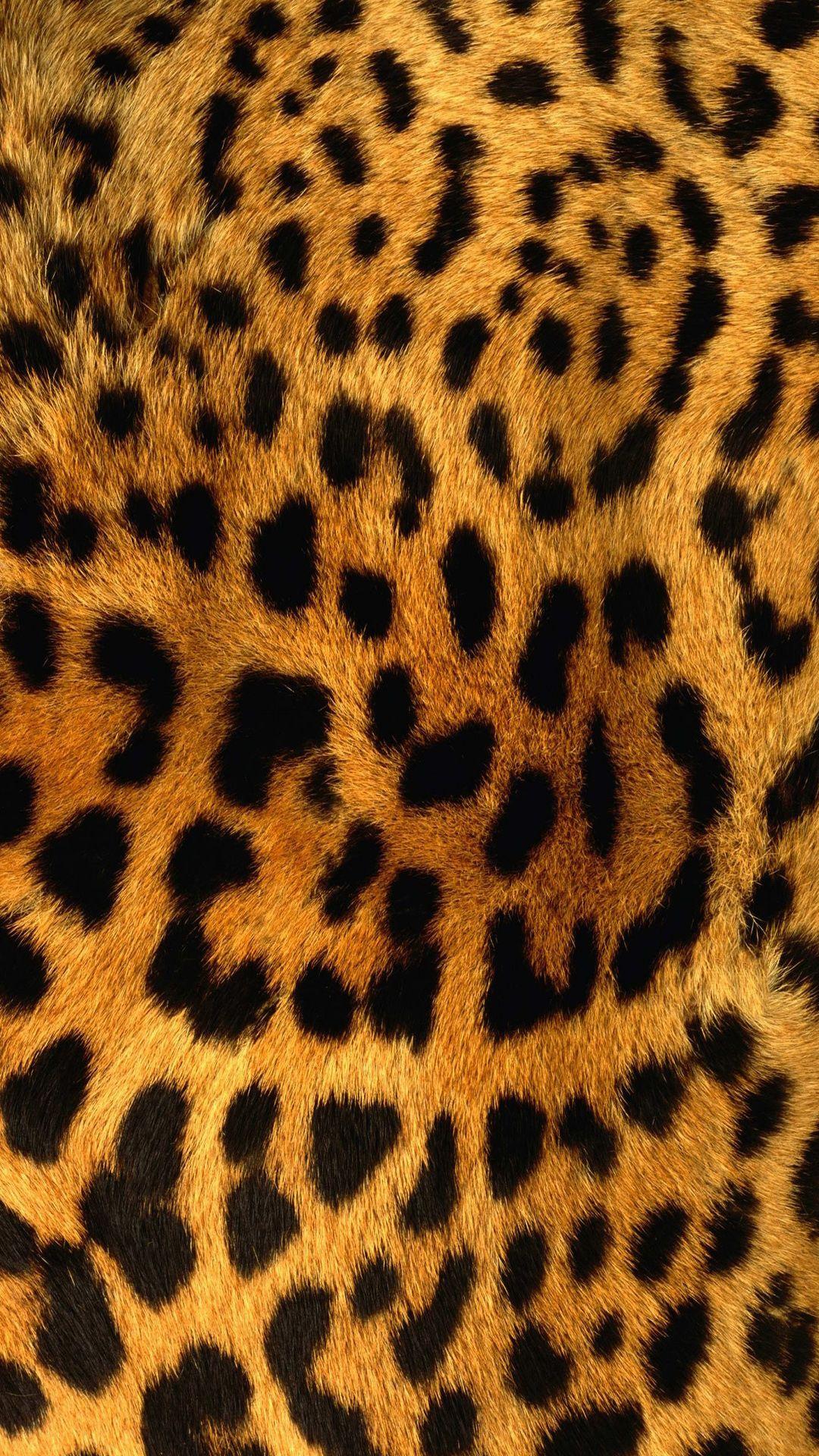 1080x1920 Leopard Print Hình Nền iPhone HD