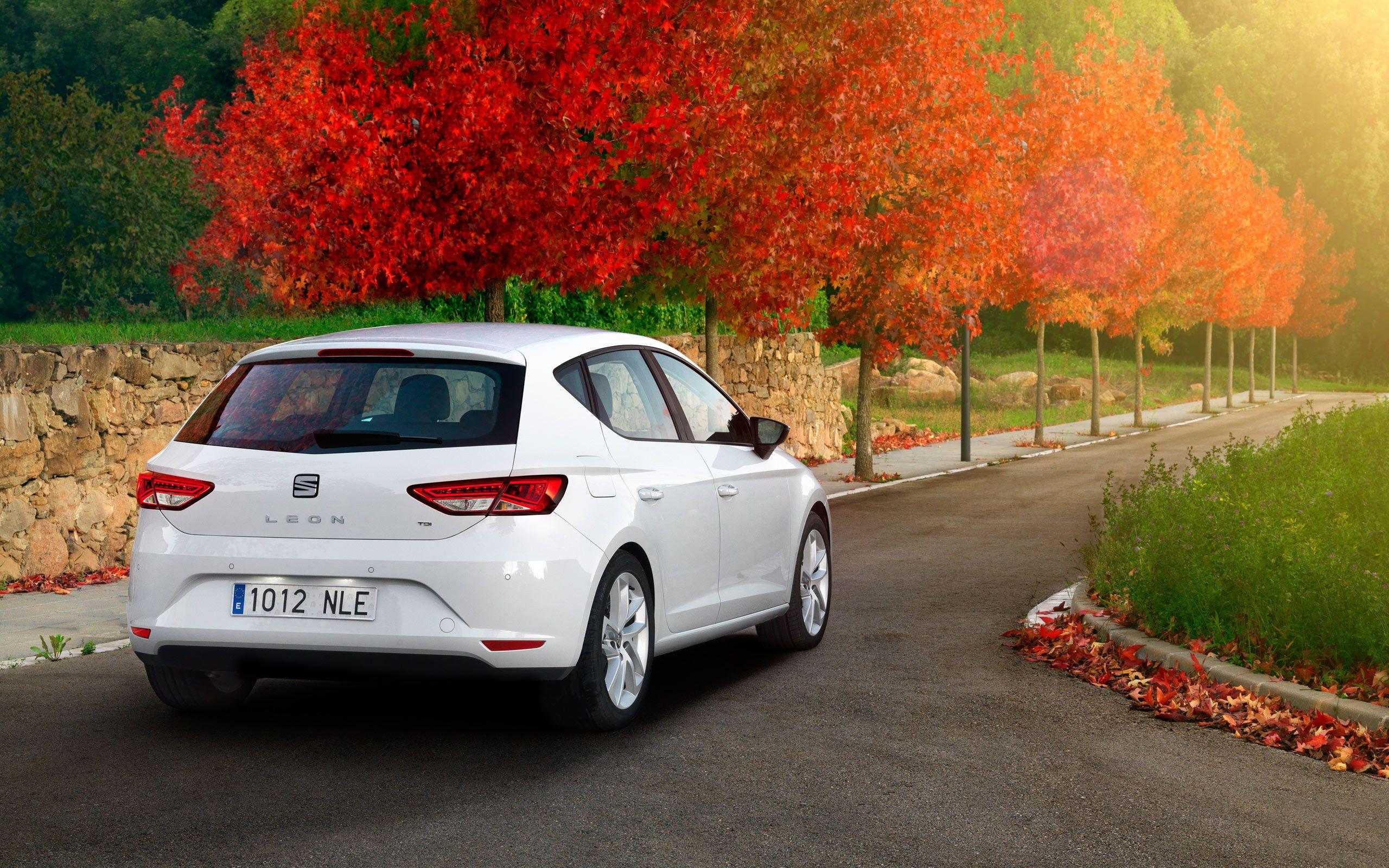 2560x1600 Free Seat Leon Wallpaper B1M58Q