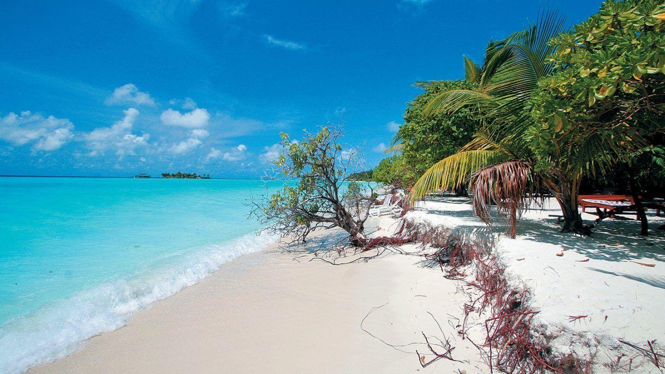 Tulum Wallpapers - Top Free Tulum Backgrounds - WallpaperAccess