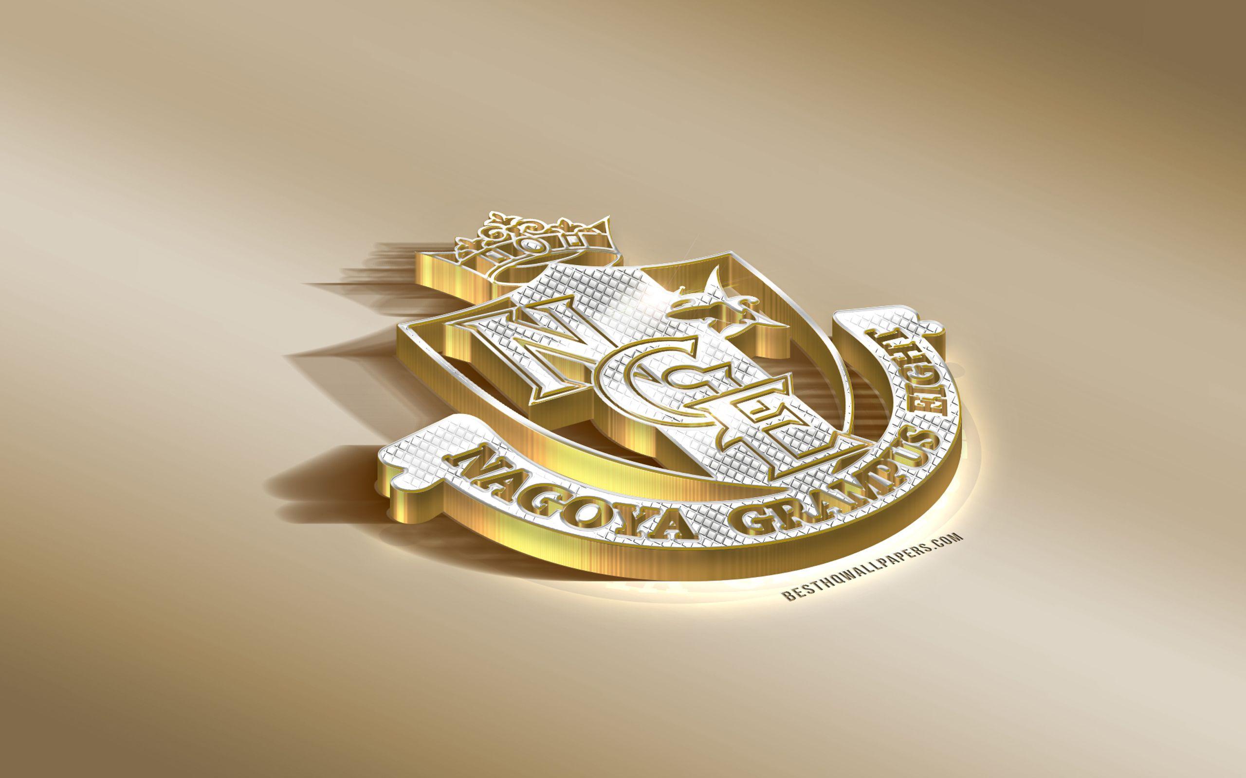 2560x1600 Download wallpaper Nagoya Grampus, Japanese football club