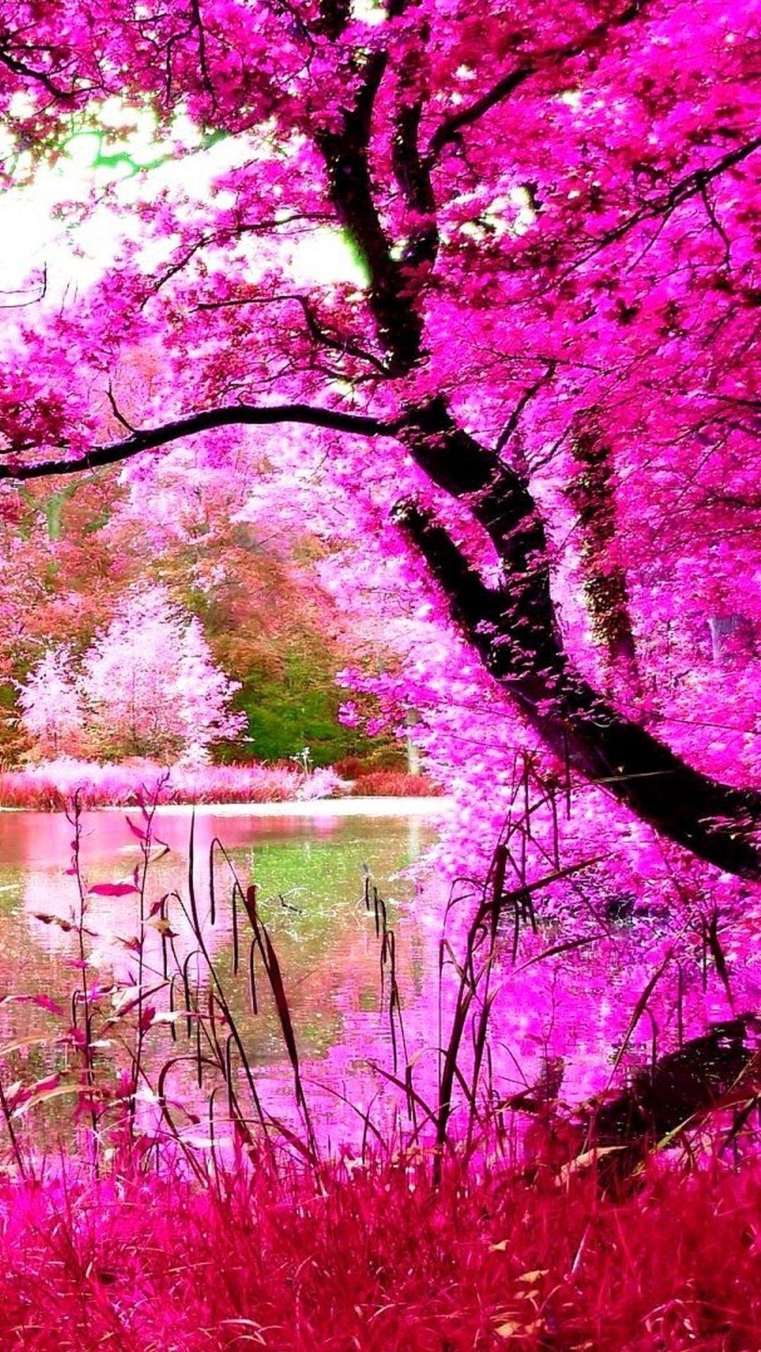 Pink Nature Wallpapers - Top Free Pink Nature Backgrounds - WallpaperAccess