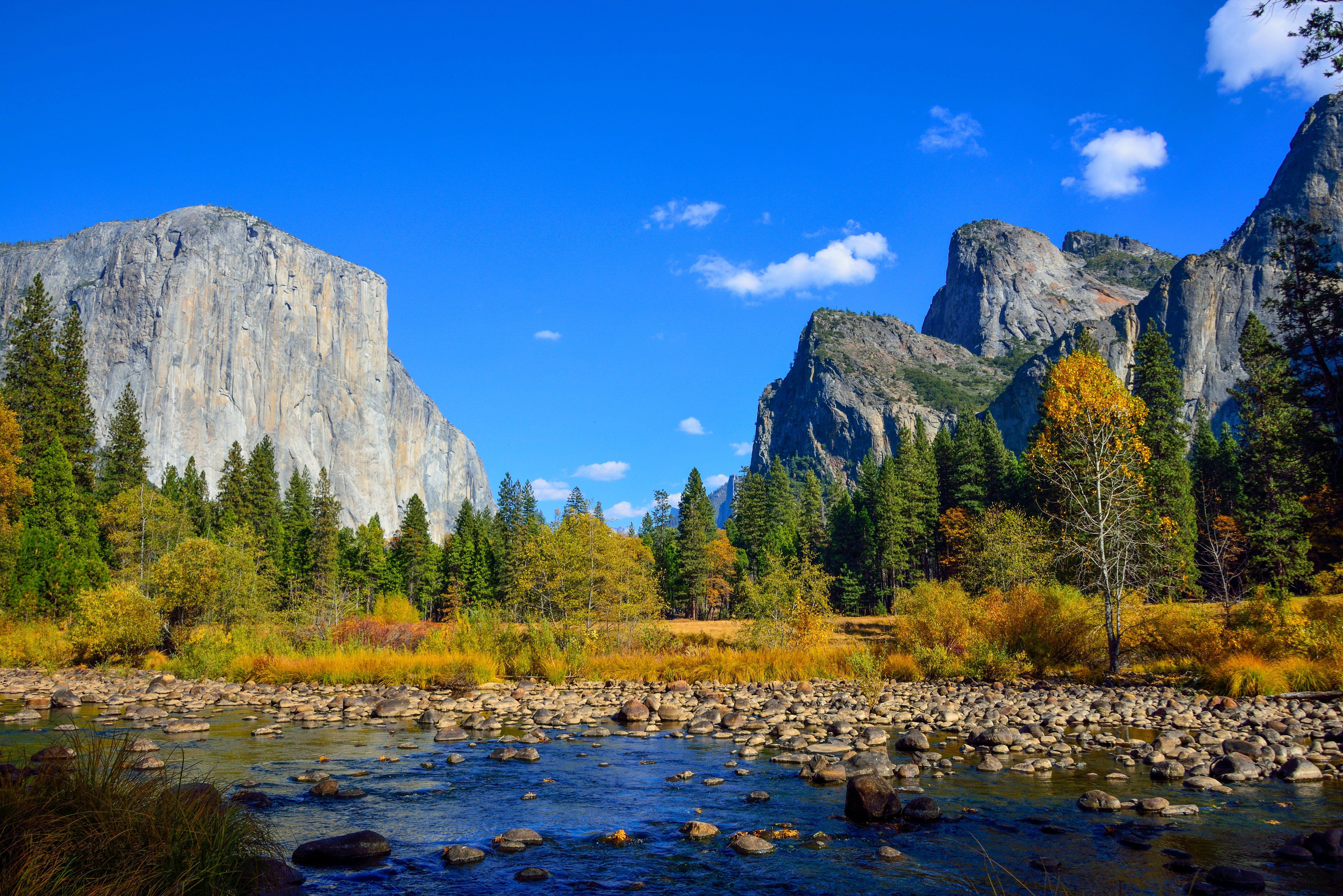 6016x4016 HD wallpaper: mountains, apple, Yosemite, 5k, 4k, forest