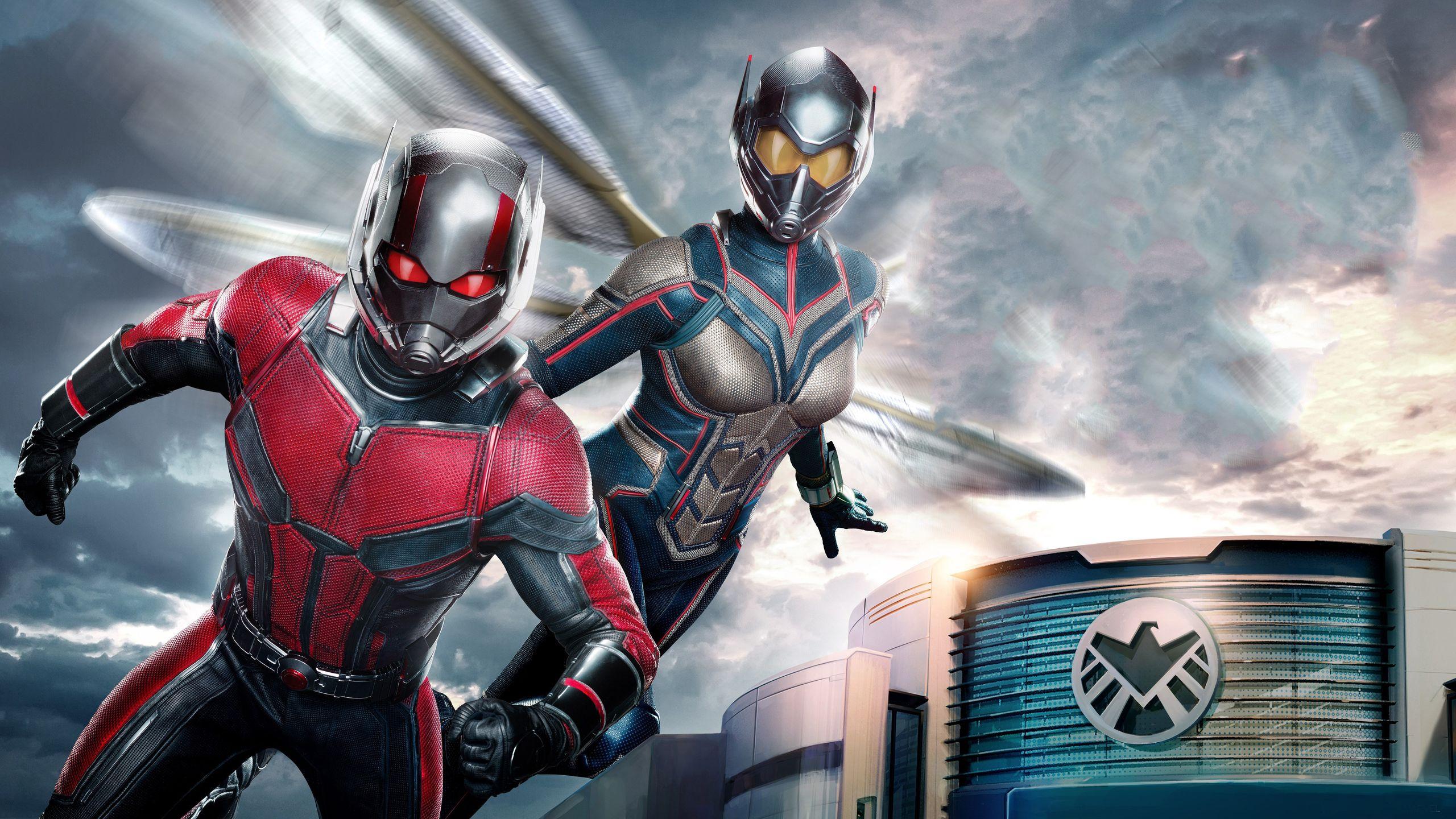 2560x1440 Ant Man And The Wasp 5k 1440P Resolution HD 4k