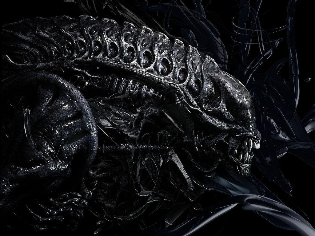 1024x768 Alien Predator 3D Photography HD