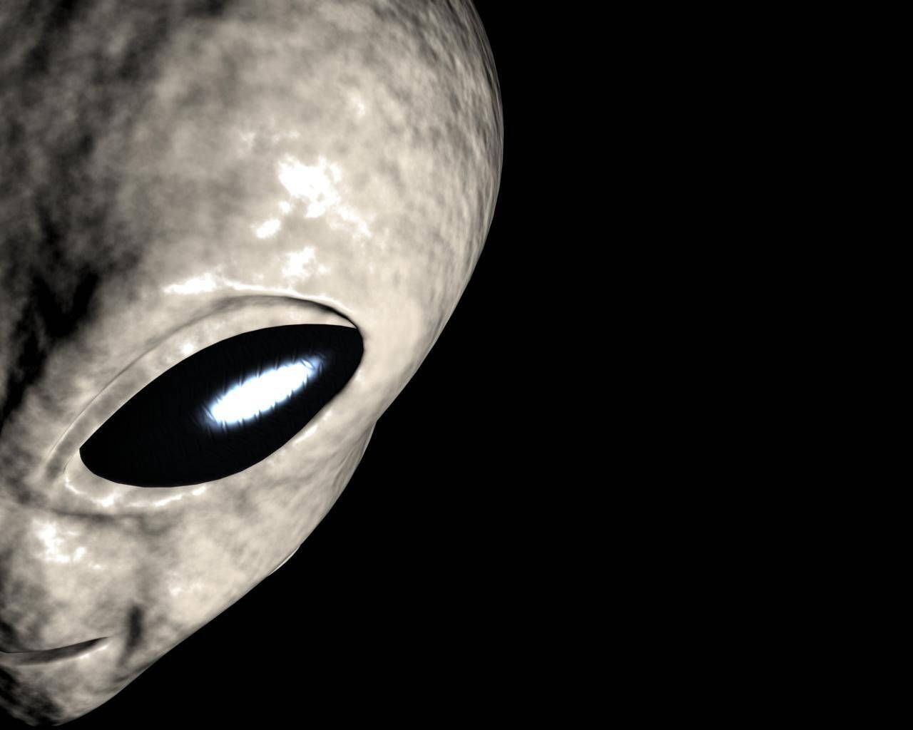 1280x1024 Half Face Alien Wallpaper