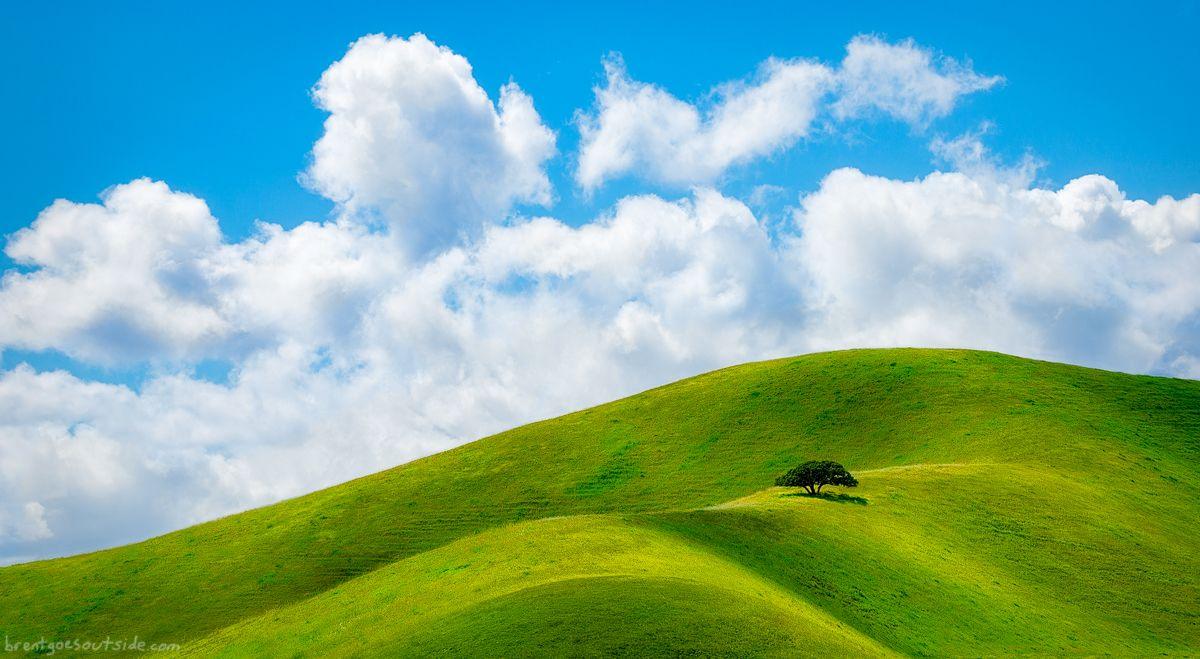1200x659 Doesn't this look like Bliss, the Windows XP desktop background
