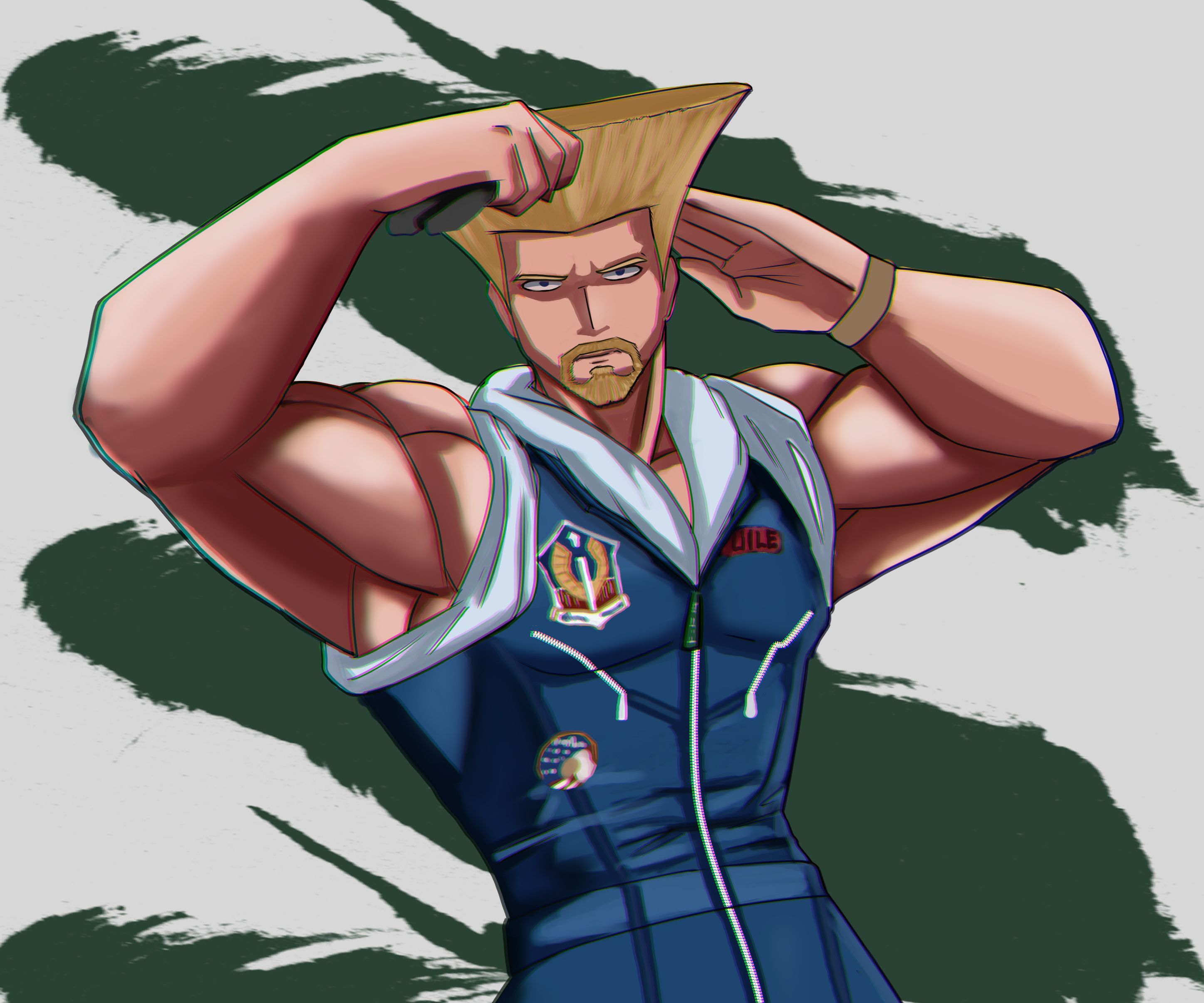2894x2412 Video Game Street Fighter HD Wallpaper