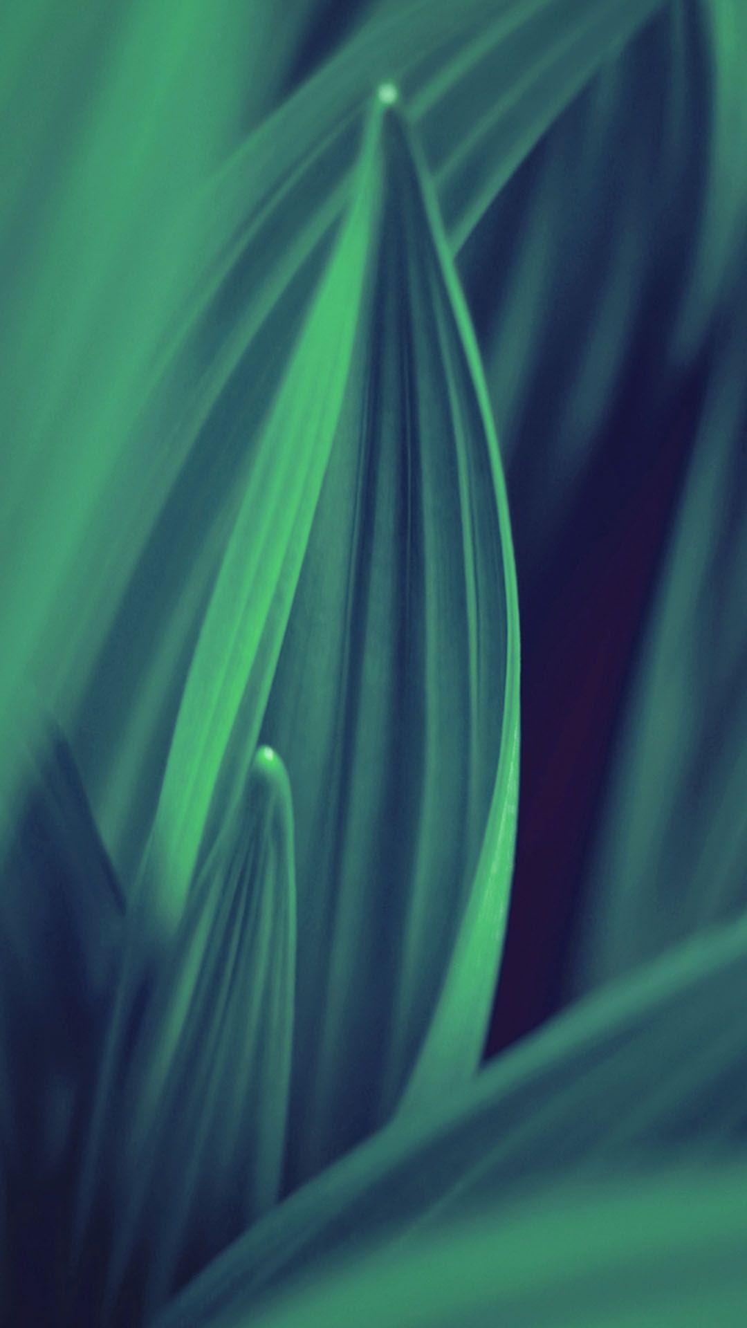 1080x1920 Green Leaf Lines Android Wallpaper free download