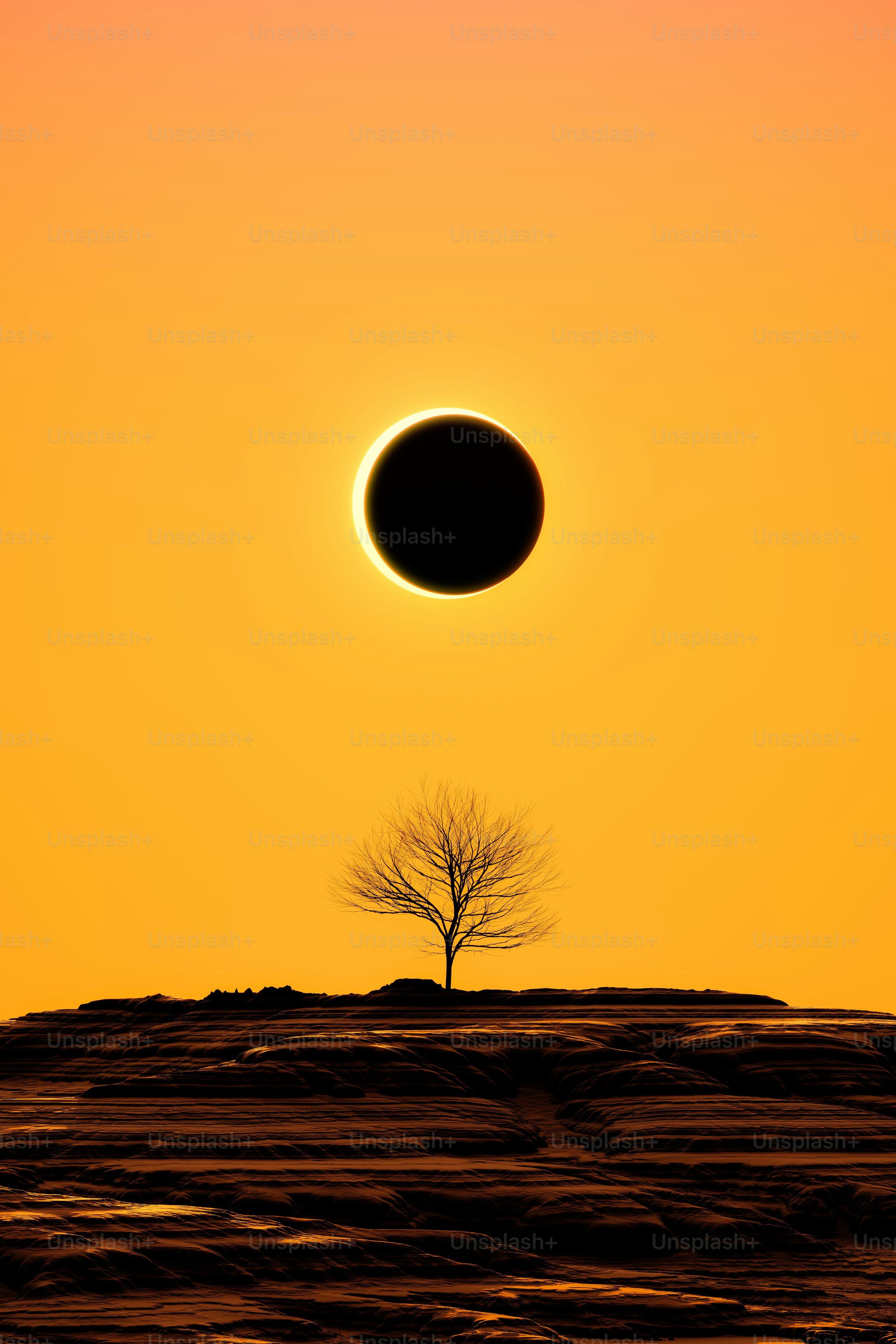 3000x4500 Eclipse Picture [HD]. Download Free