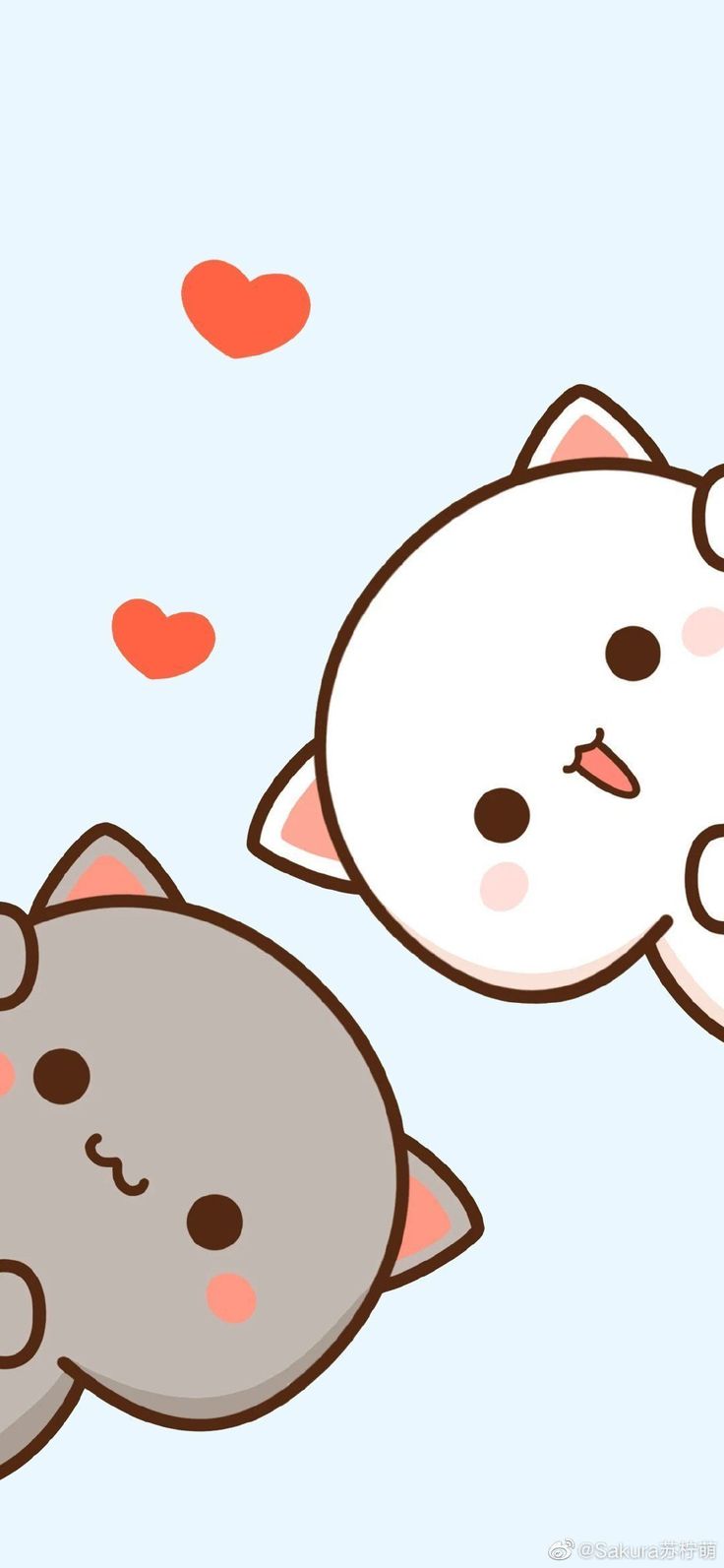736x1593 Peach And Goma Wallpaper Free