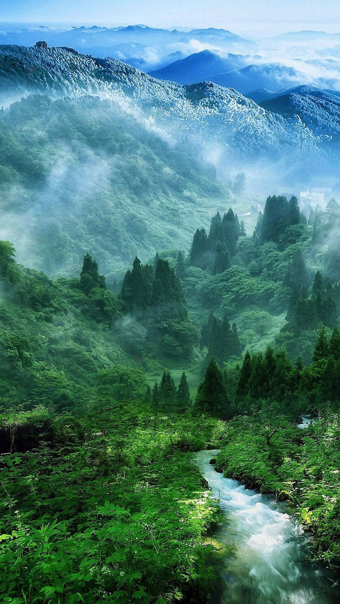 1080x1920 Hd Nature Phone Foggy Mountain