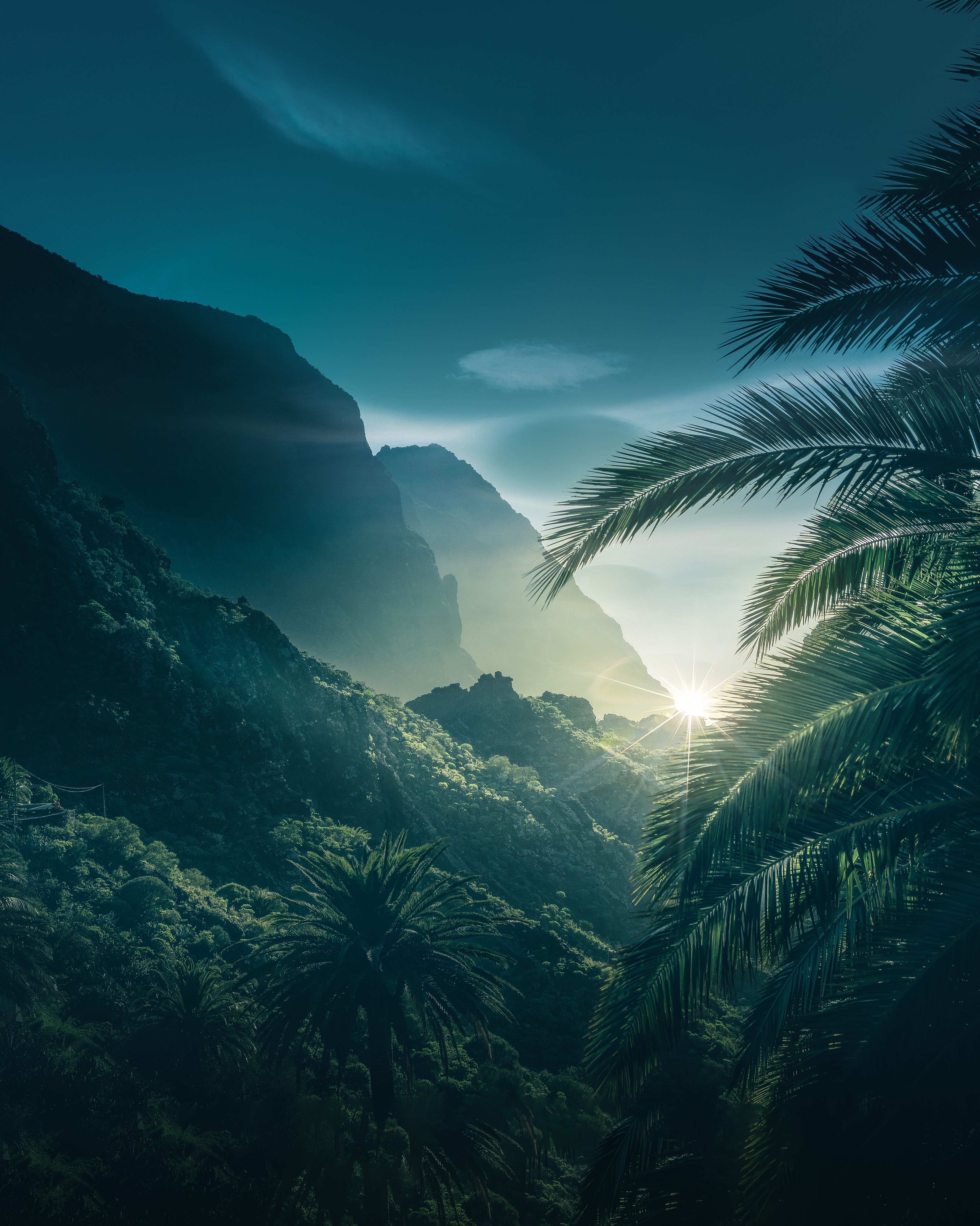 4200x5250 Huawei Honor 10 wallpaper. Free download on