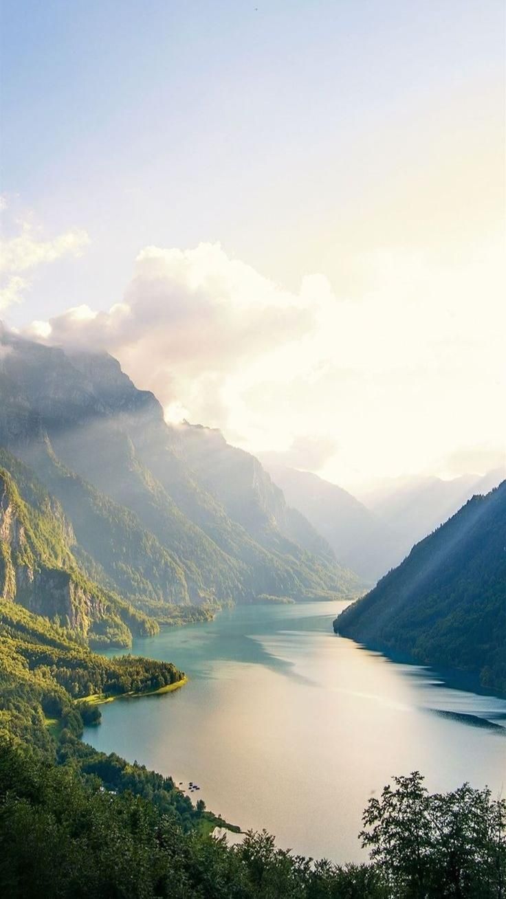 736x1308 HD Wallpaper of Nature for Mobile