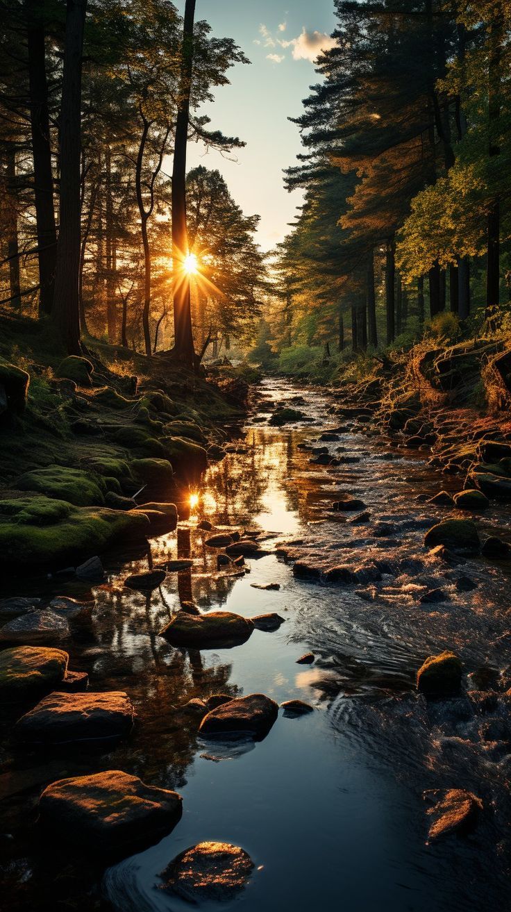 736x1313 HD Landscape phone background Mountain
