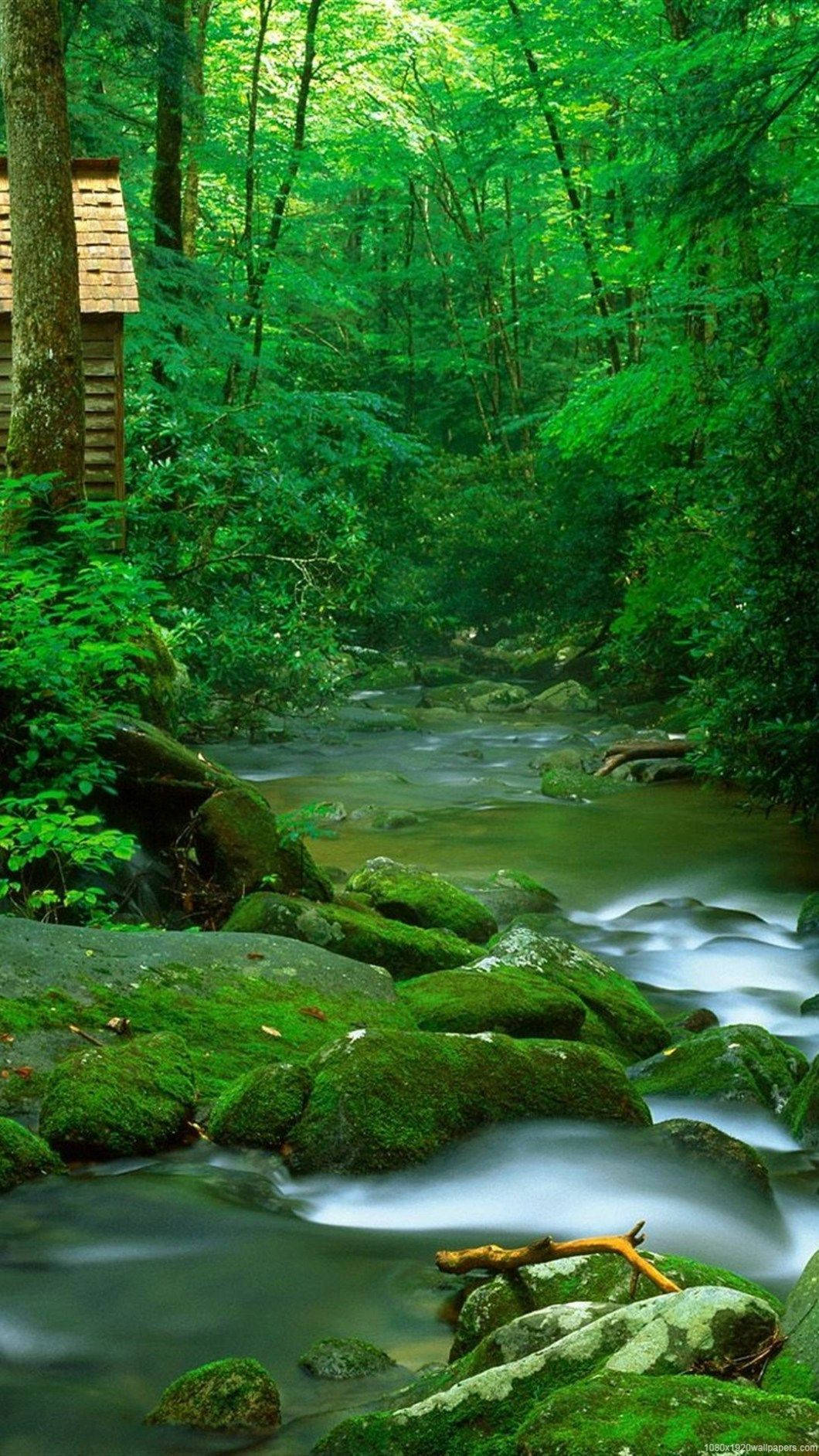 1060x1884 Hd Nature Phone Hidden House Wallpaper