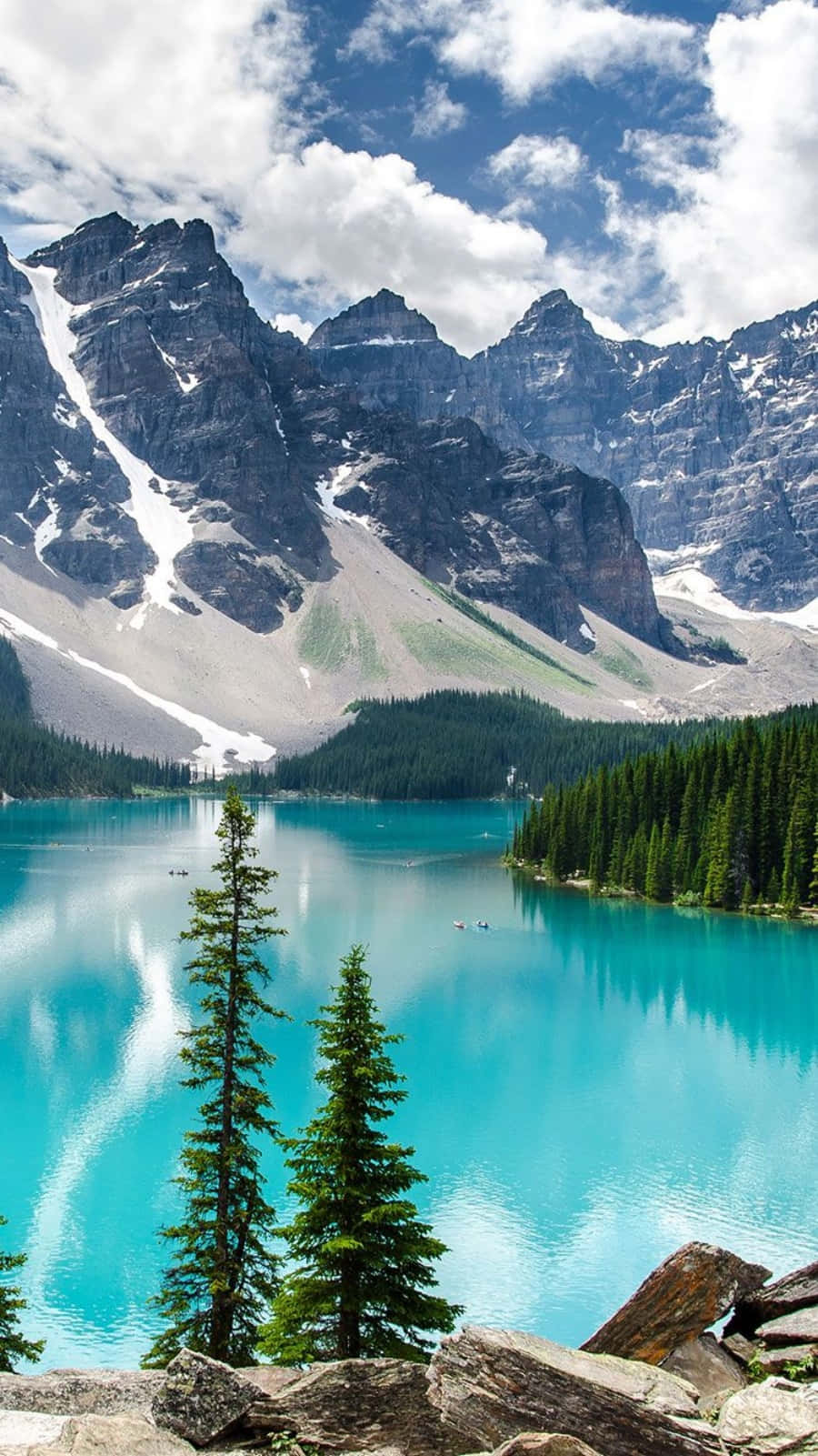 900x1601 Android Nature Wallpaper