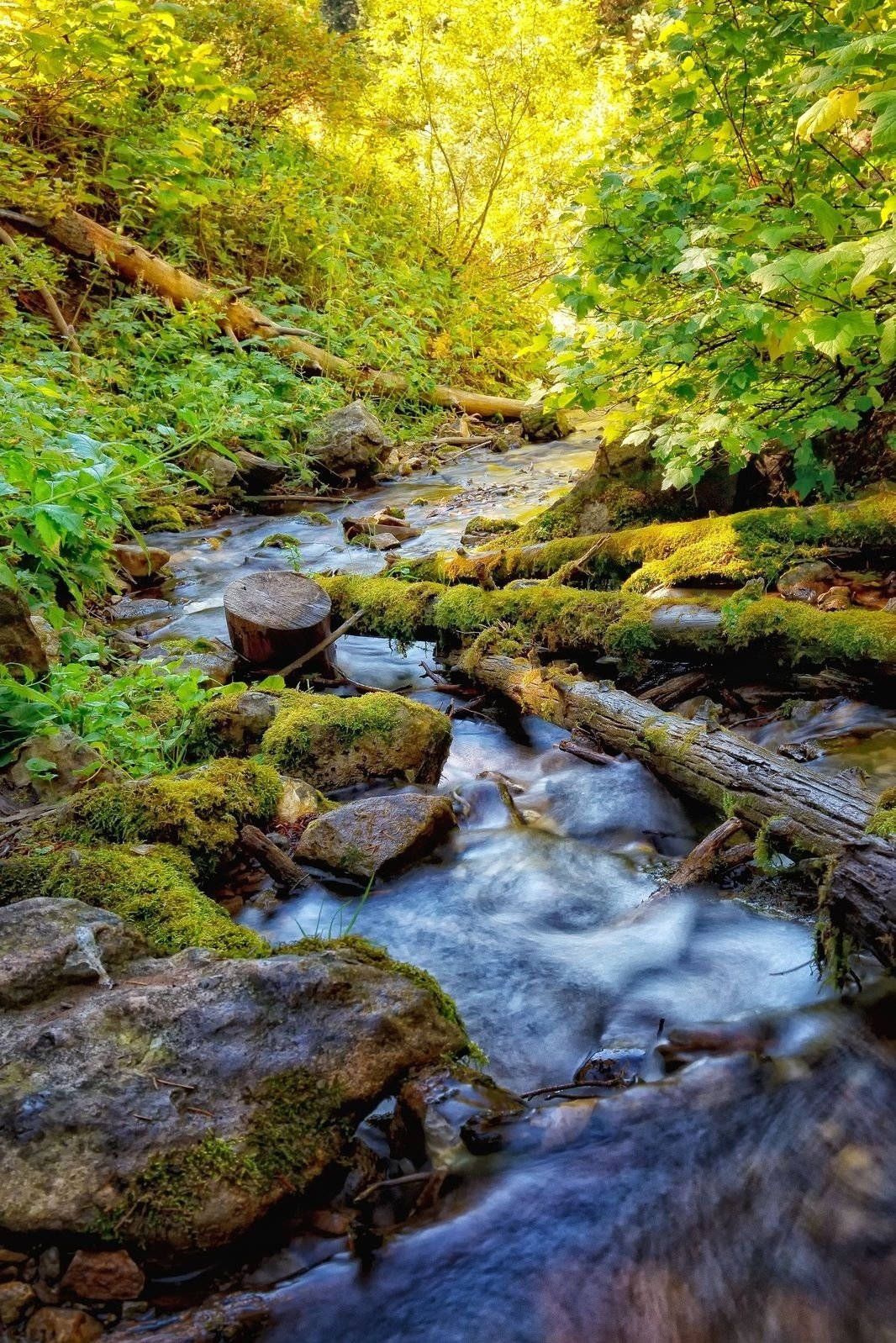 1066x1598 Hd Nature Phone River Wallpaper
