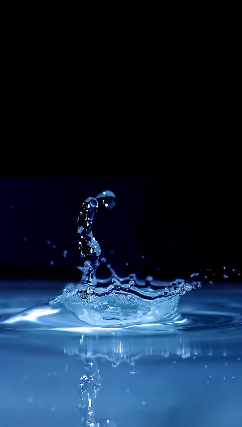 800x1410 Spot, nature, HD phone wallpaper