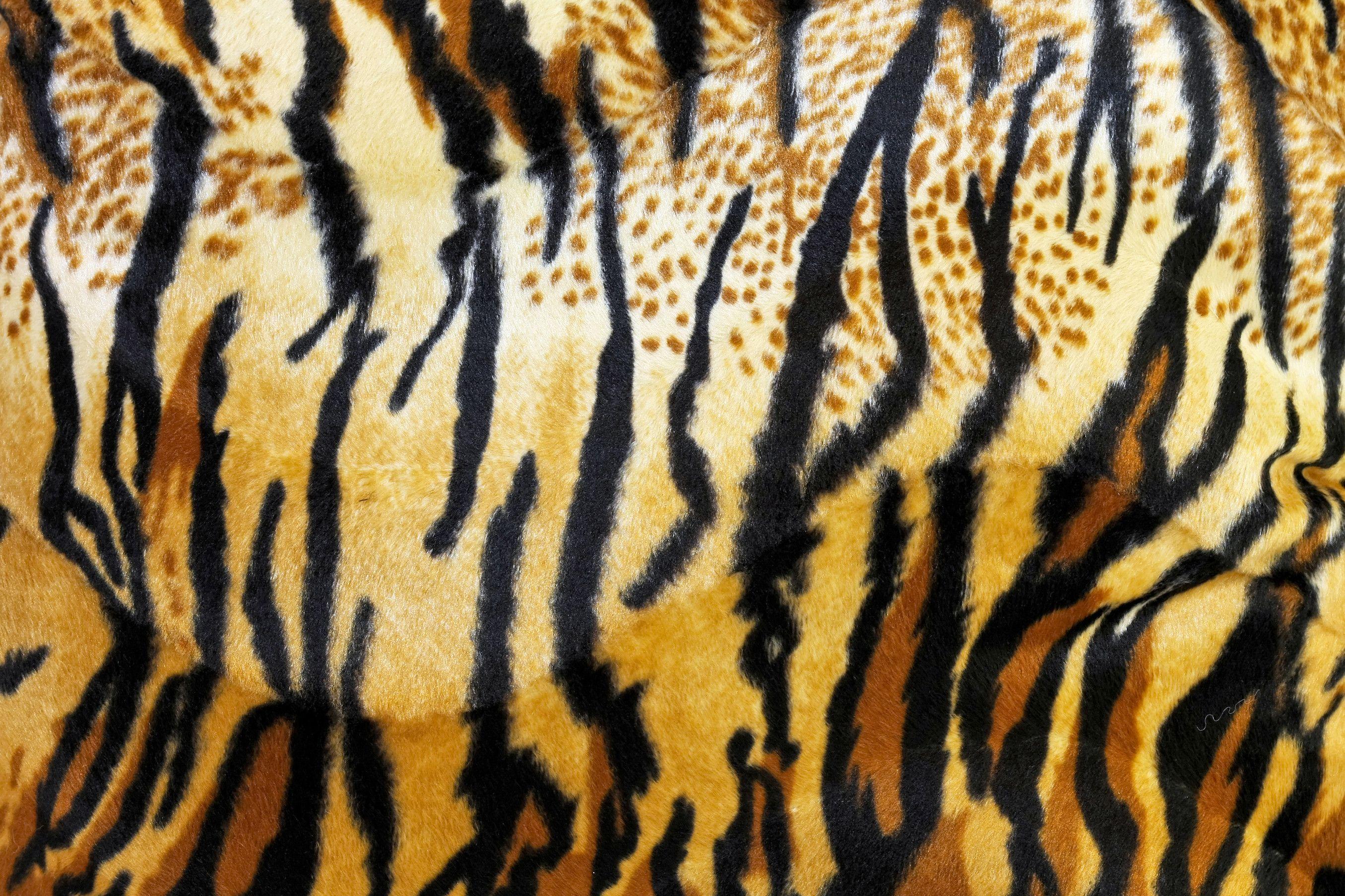 Tiger Print Wallpapers - bigbeamng