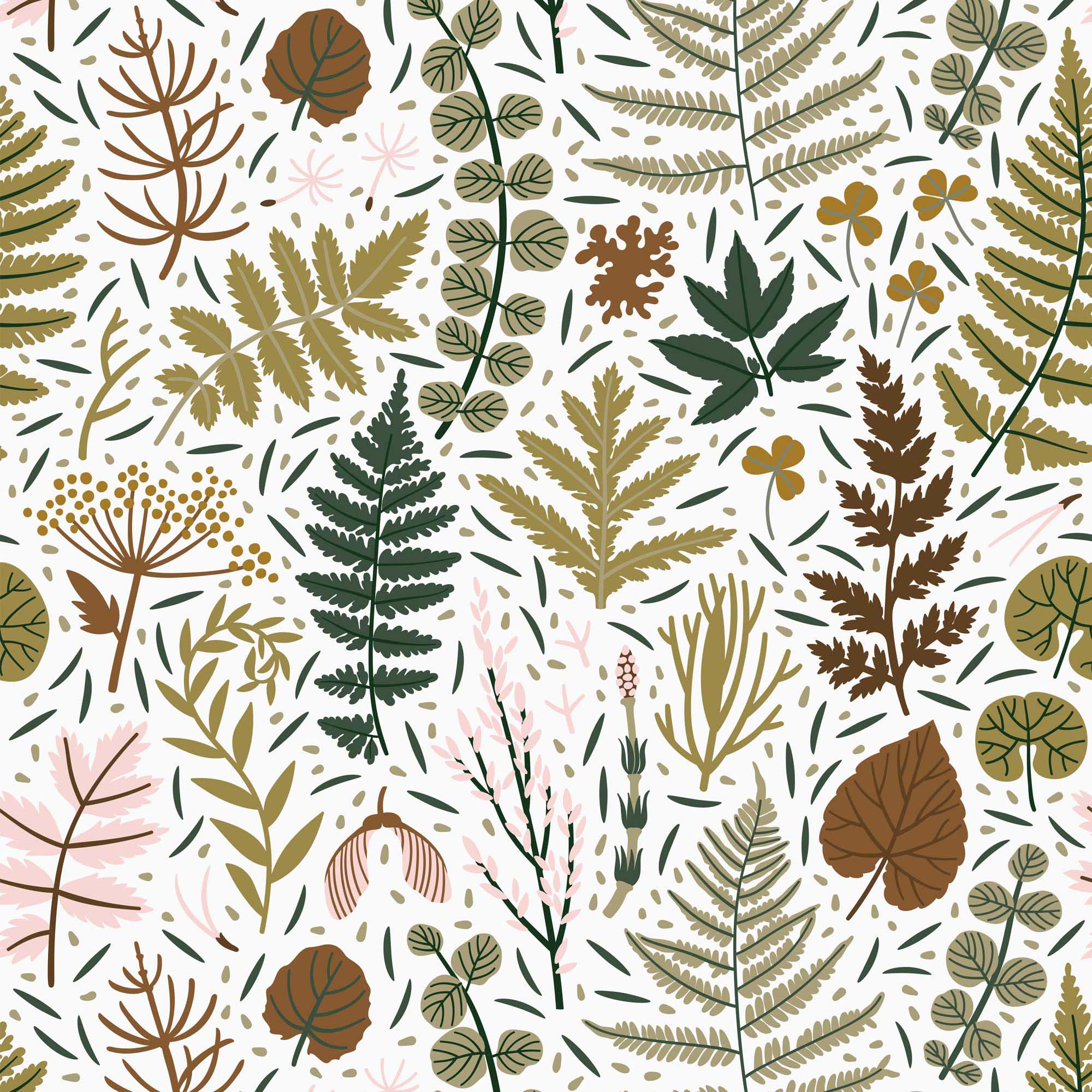2000x2000 Sample of Woodland Walks Wallpaper
