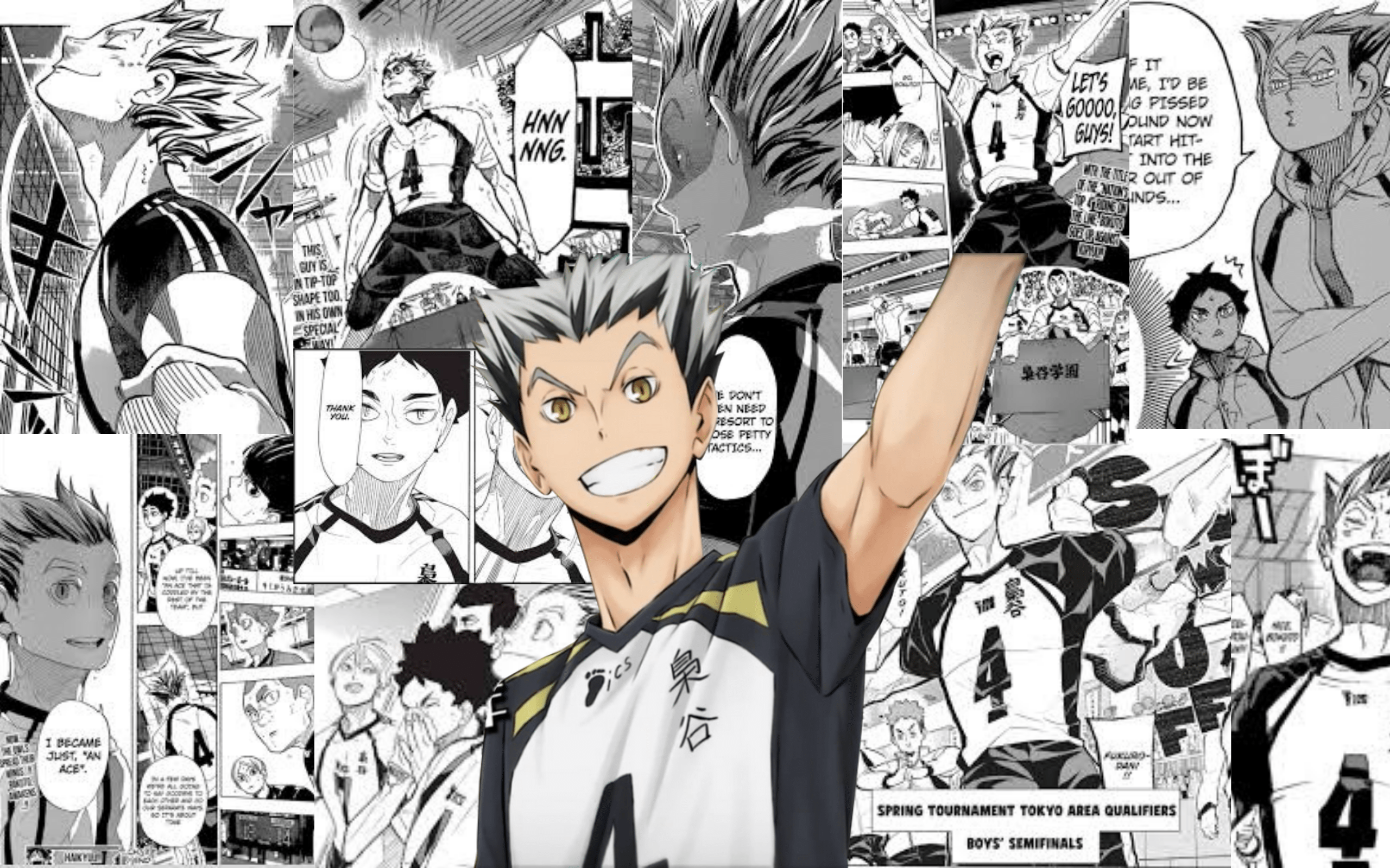 2560x1600 bokuto wallpaper