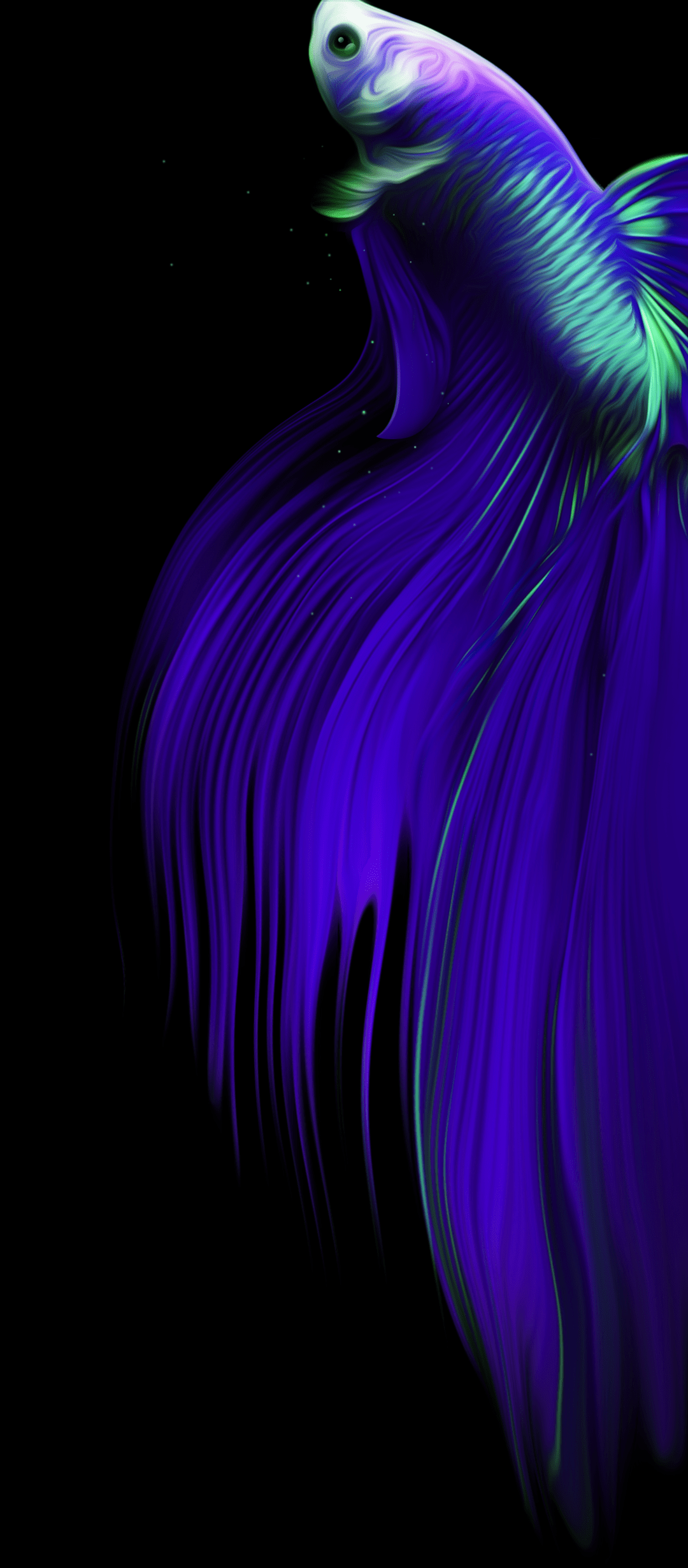1080x2460 Wallpaper Infinix Zero x Pro, Infinix