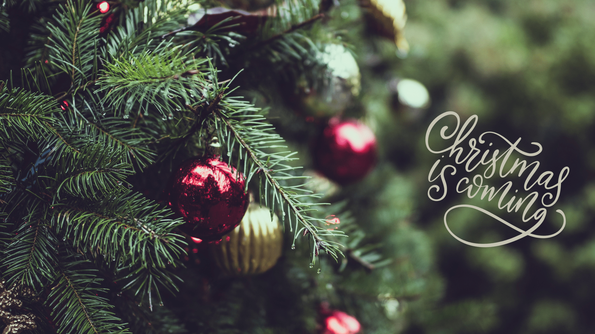 1920x1080 Cute Christmas Wallpaper Aesthetic