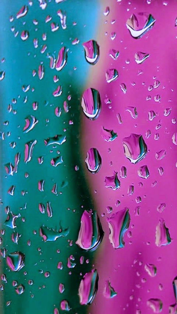 720x1280 wallpaper lucu iphone, water, pink, dew