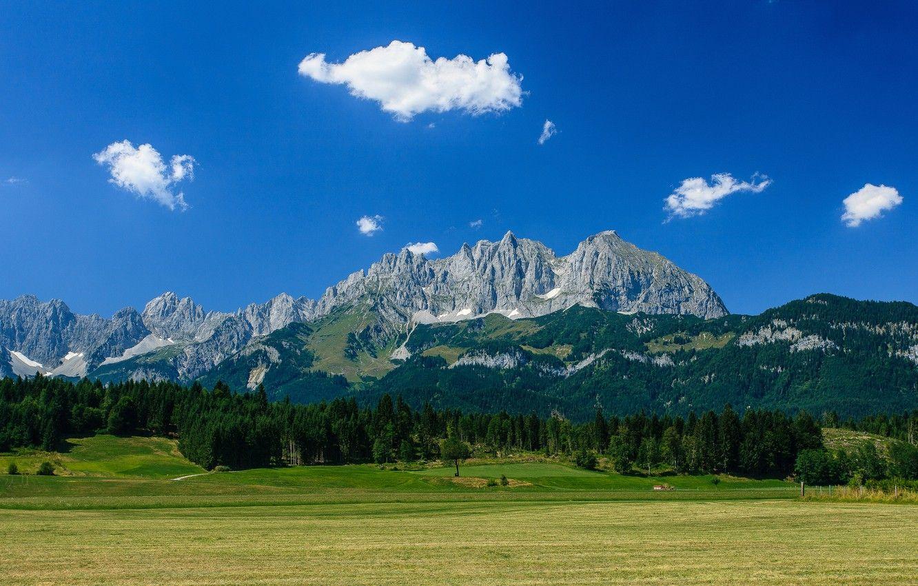 1332x850 Wallpaper forest, mountains, Austria, Alps, meadow, Austria