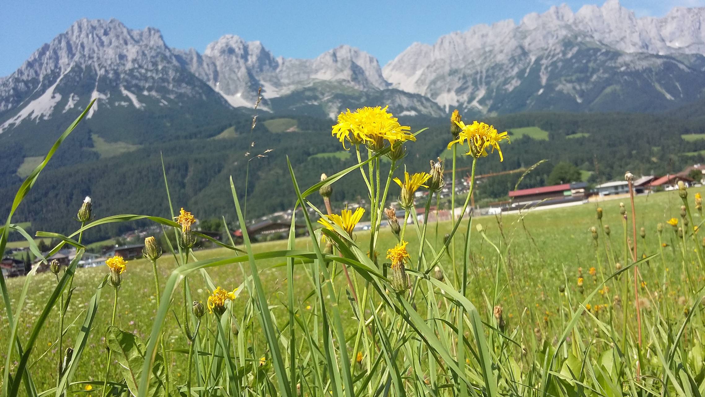 2276x1280 Wilder Kaiser Wallpaper