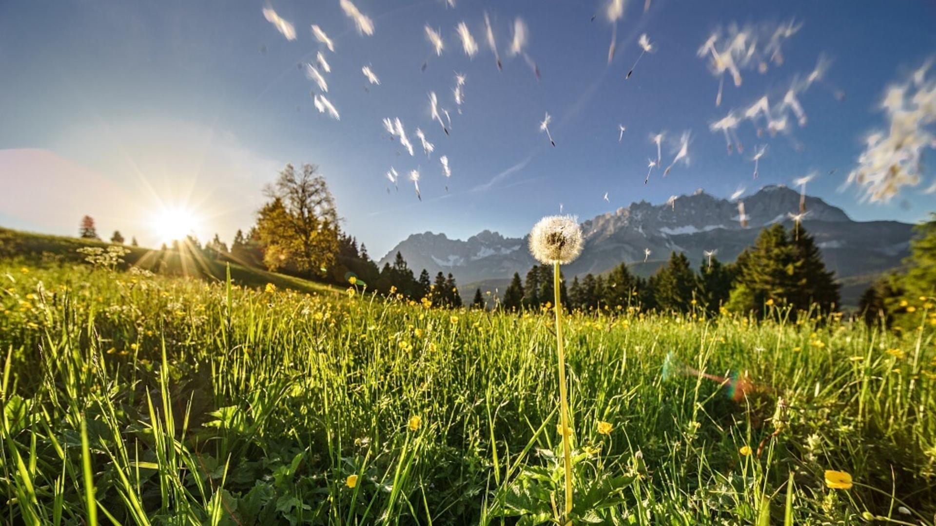 1920x1080 Specials & Offers, TIROL LODGE ❤ Hotel Ellmau Wilder Kaiser