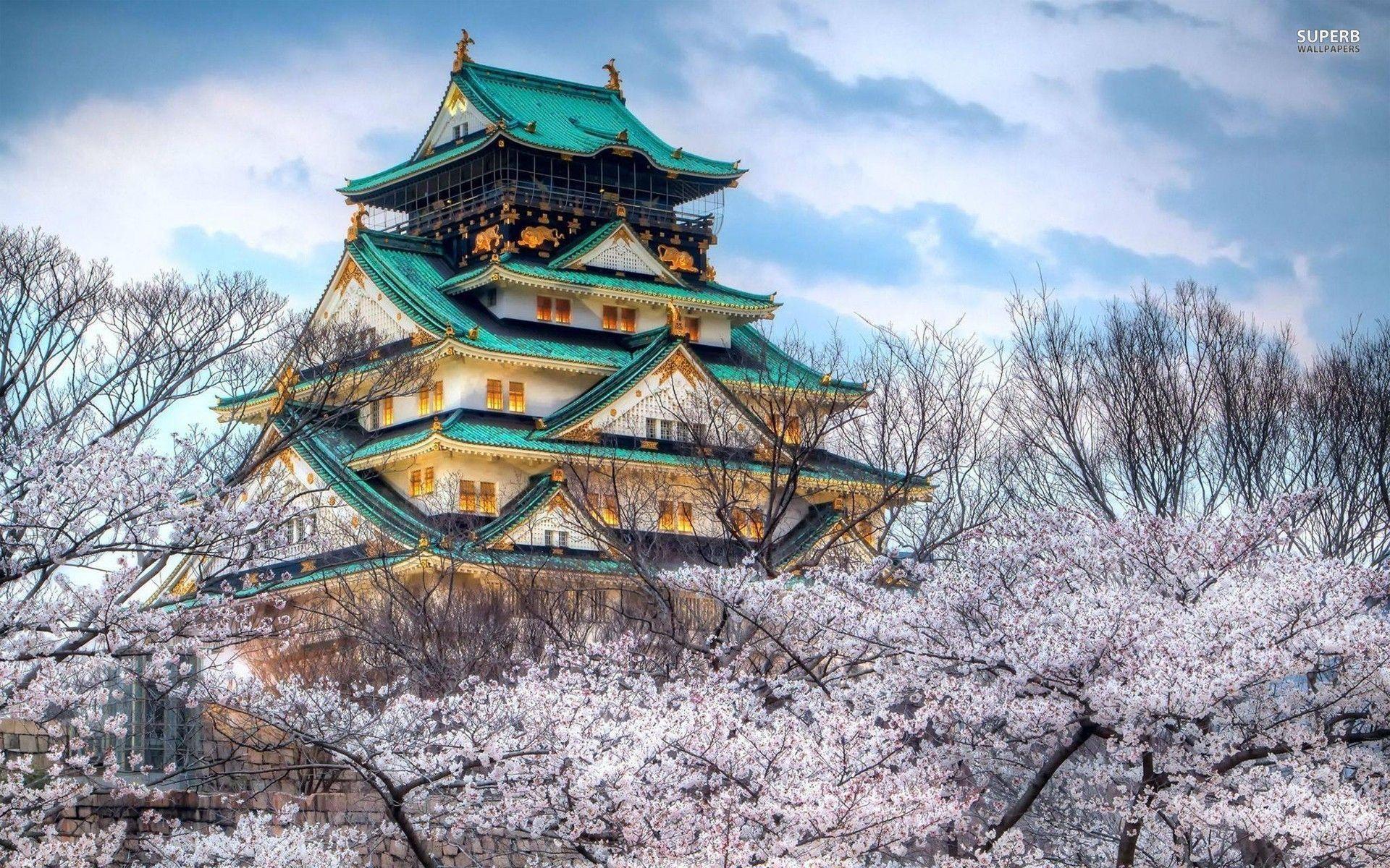 1920x1200 nice Osaka Castle In Japan With Cherry Blossom. AmazingPict